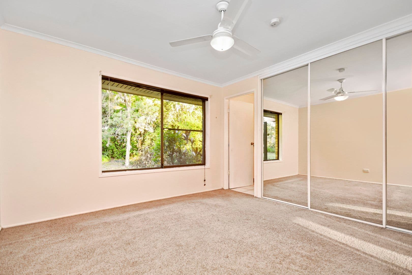 507 Moore Road, Kurwongbah QLD 4503, Kurwongbah - Thumbnail 7
