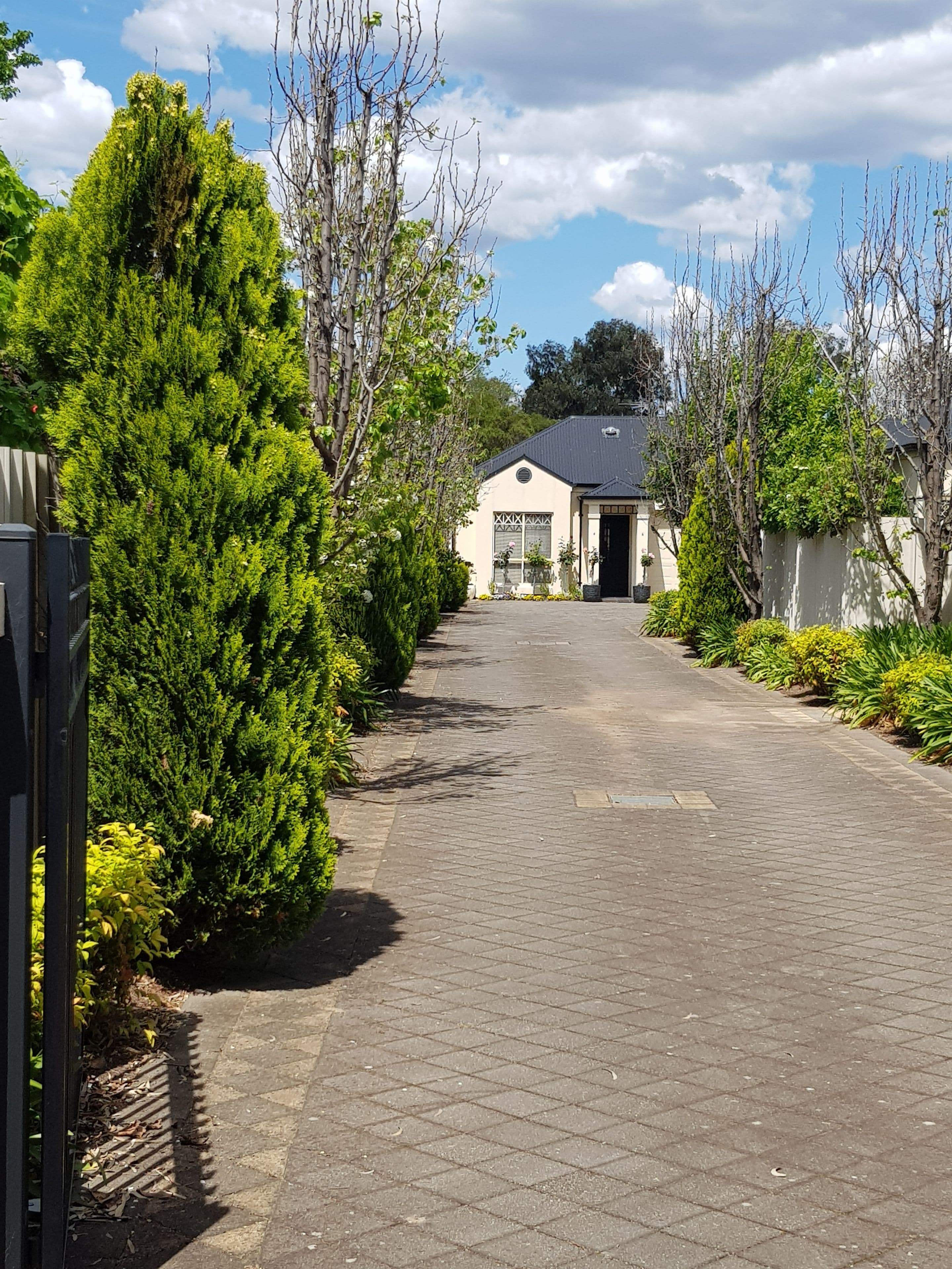 6 Henry  Street, Payneham SA 5070, Payneham - Thumbnail 2