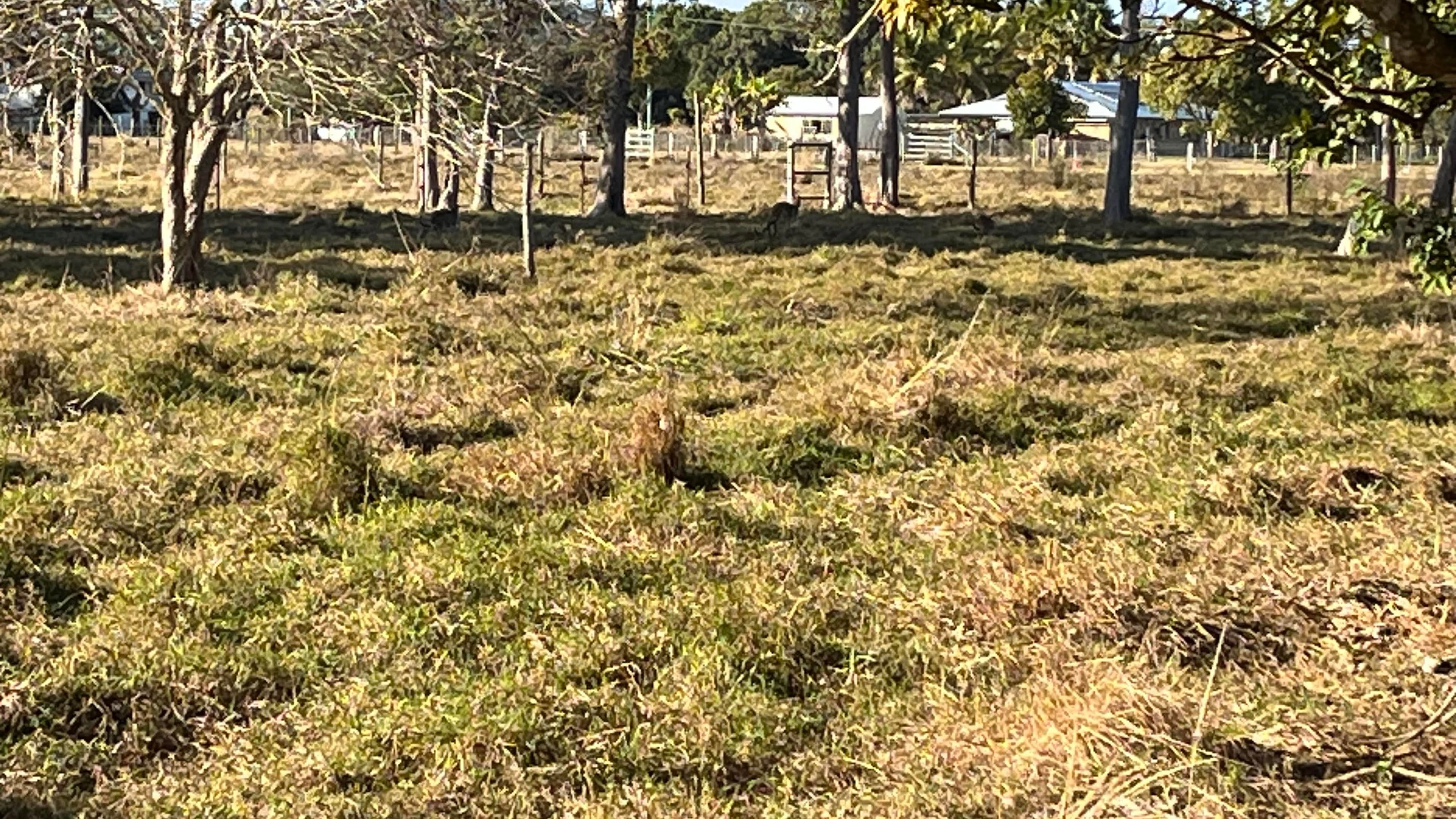 Lot 41 Hans Christian Street, Sarina QLD 4737, Sarina - Thumbnail 8