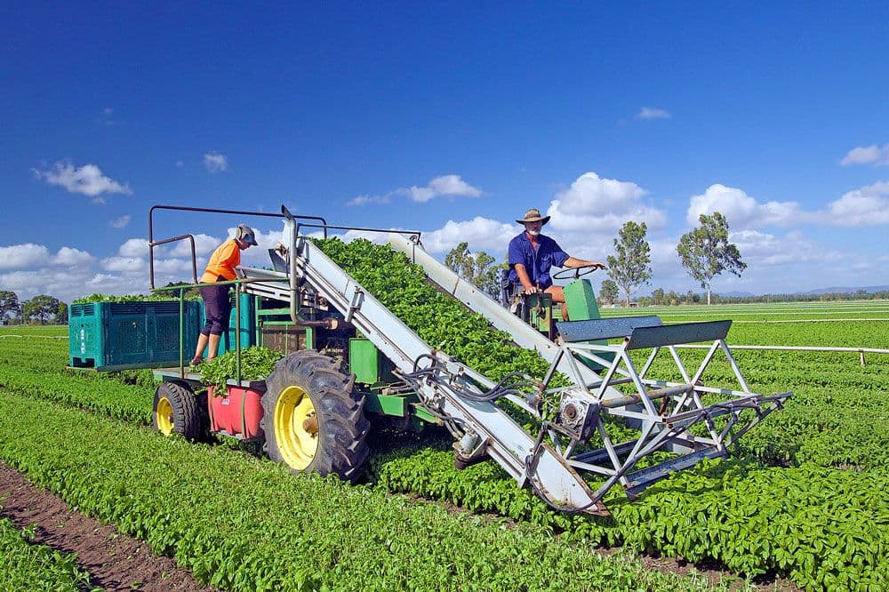 Biloela QLD 4715, Biloela - Thumbnail 2