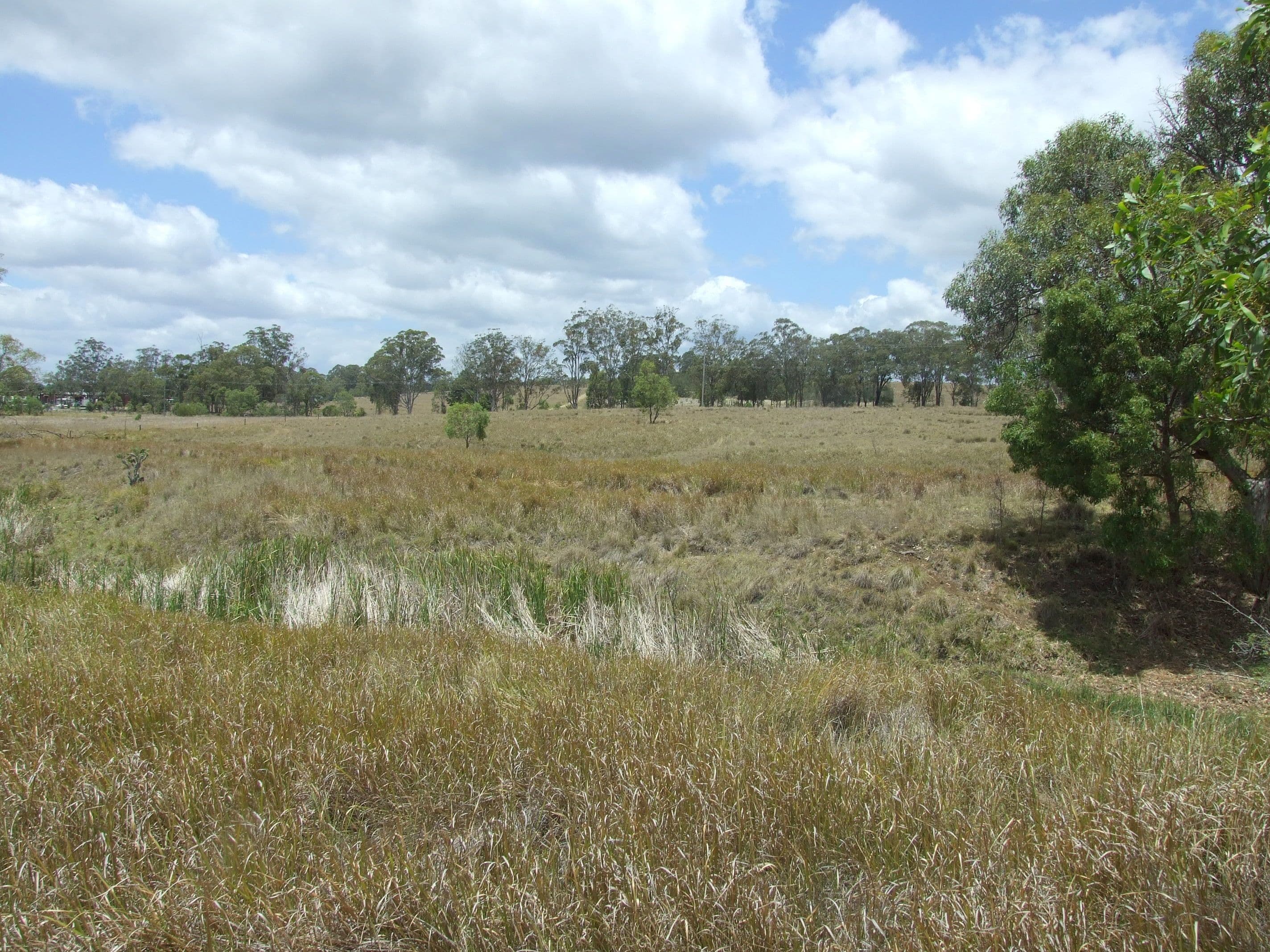 7716 New England Highway, Crows Nest QLD 4355, Crows Nest - Thumbnail 5
