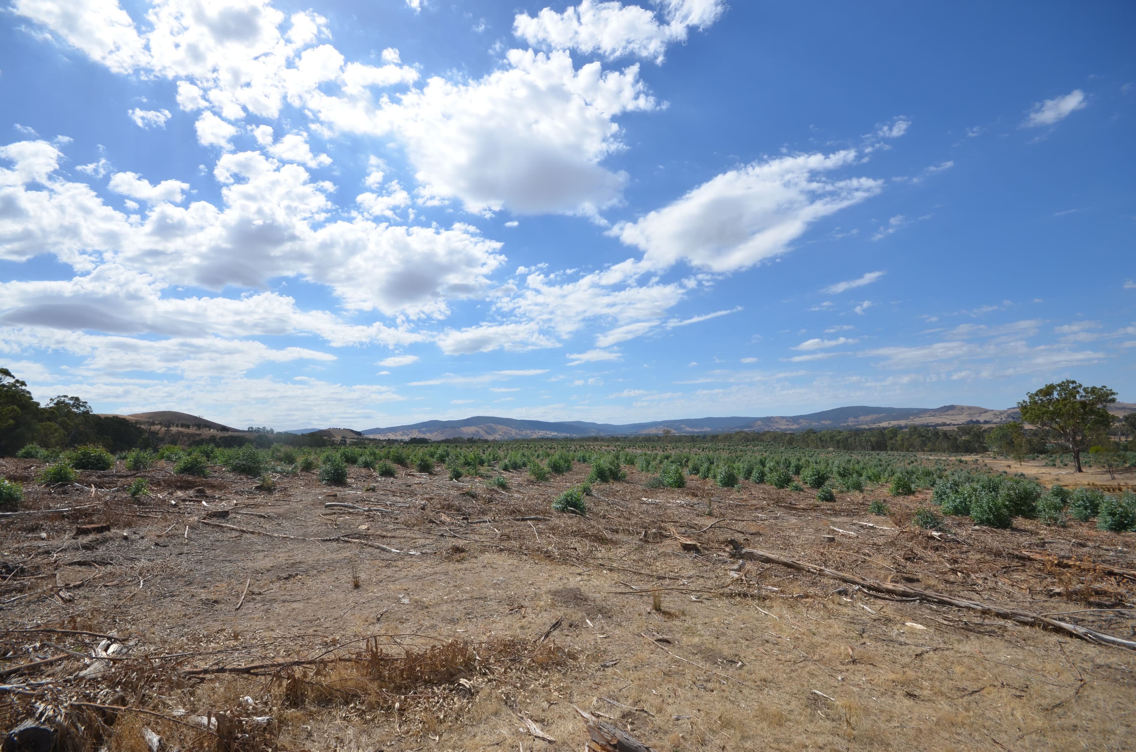 "Darbyshire" Hickman Creek Road, Glenlogie VIC 3469, Glenlogie - Thumbnail 3