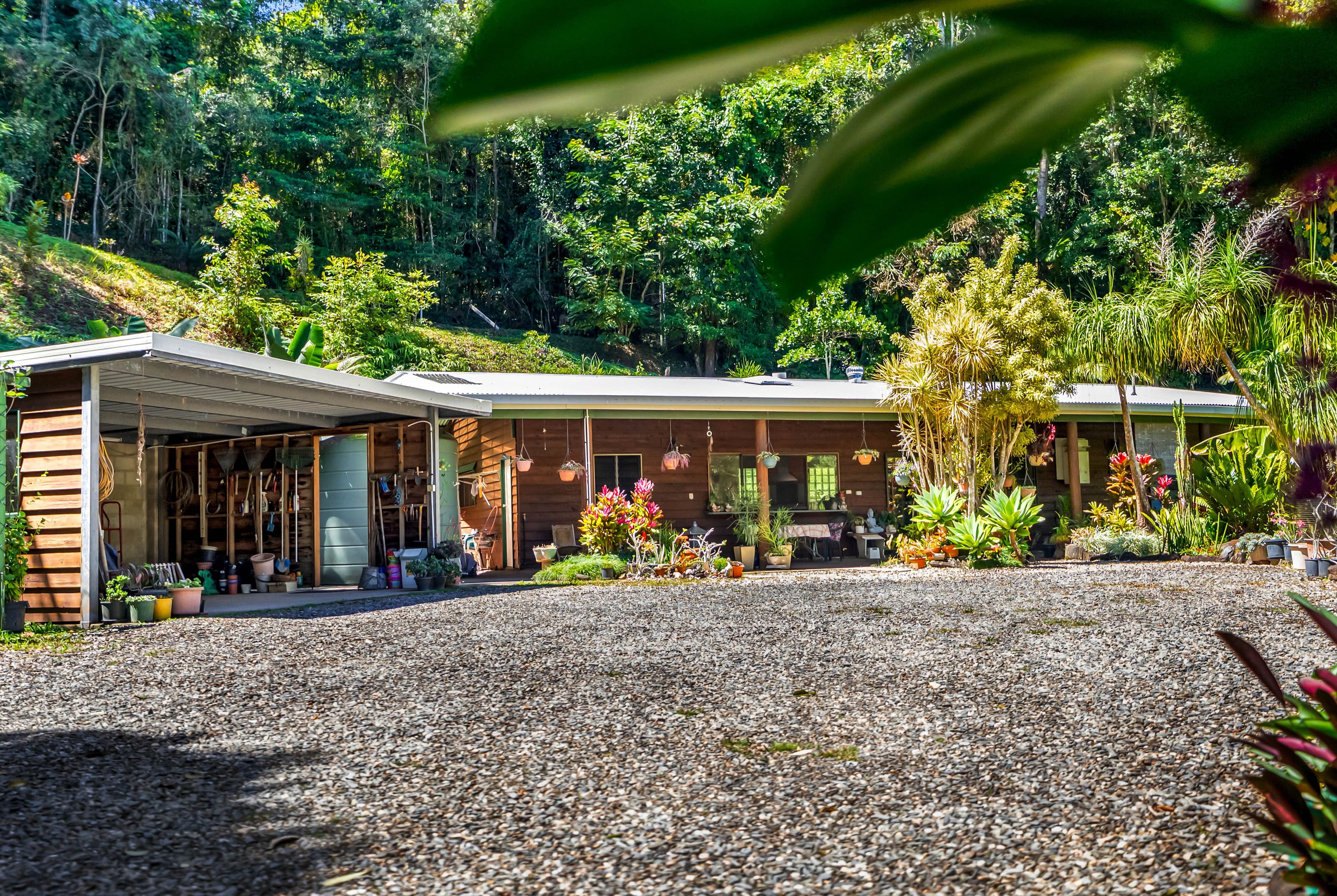 17 Shane Court, Kuranda QLD 4881, Kuranda - Thumbnail 8
