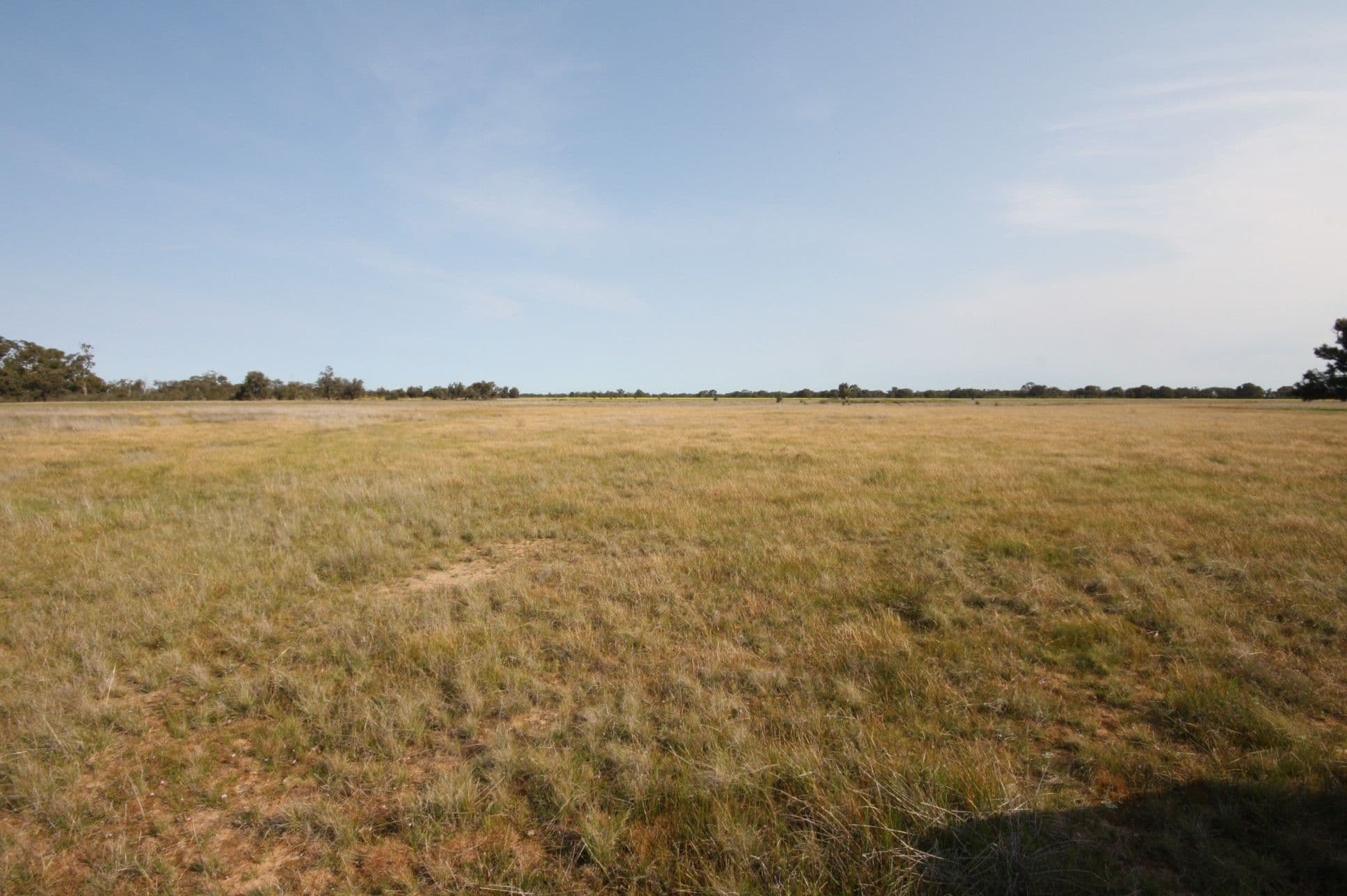 59 Old Banyena Road, ST ARNAUD VIC 3478, St Arnaud - Thumbnail 4