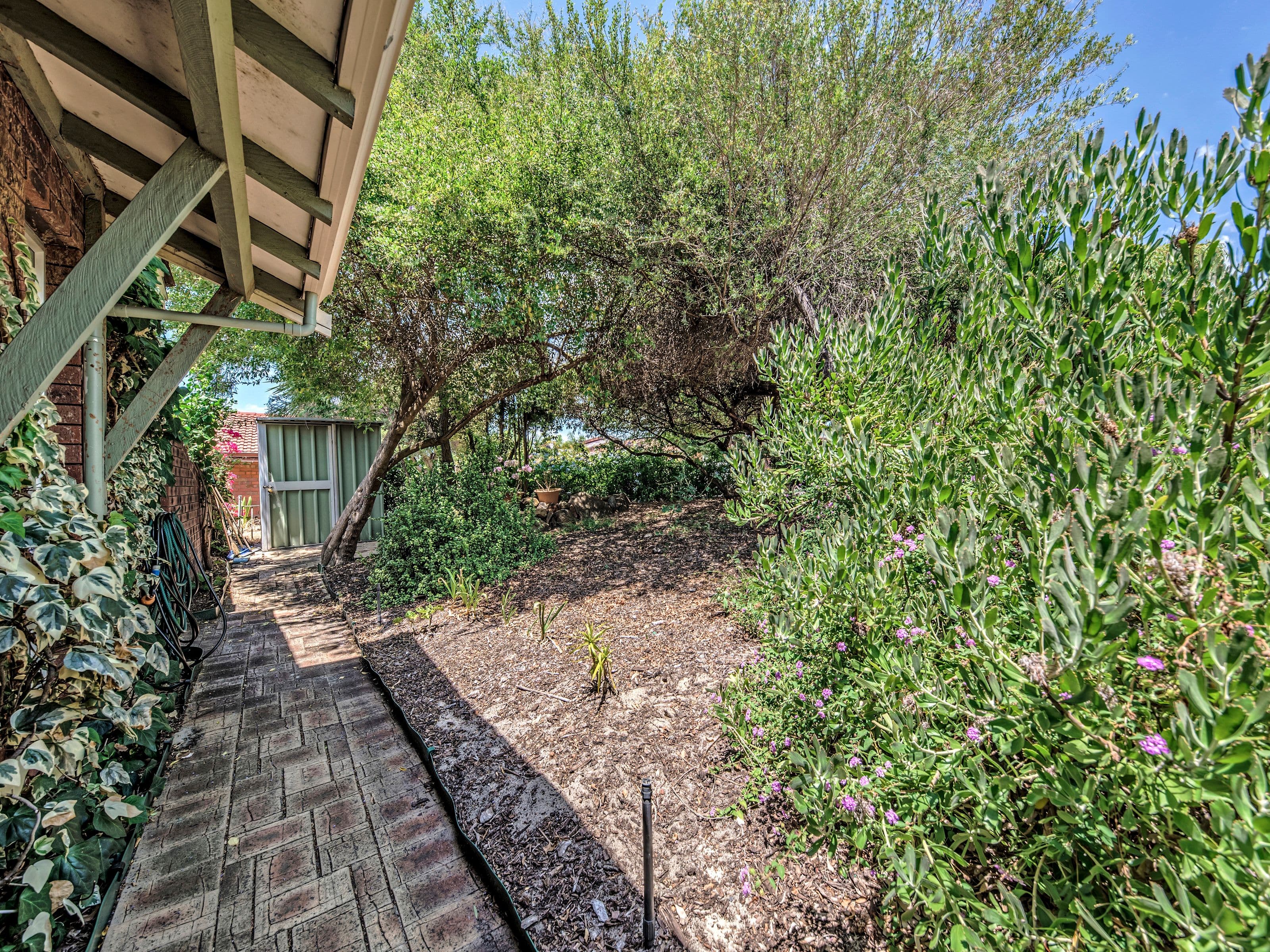 6 Mayer Close, Noranda WA 6062, Noranda - Thumbnail 4