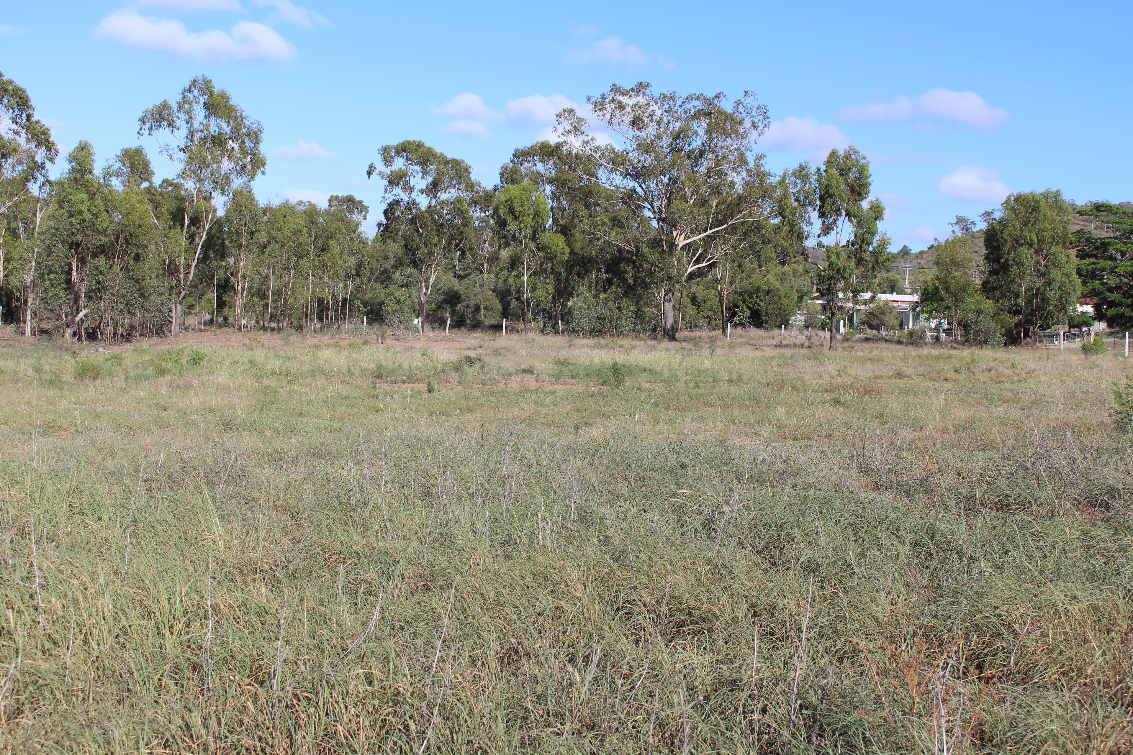 28 Munro Lane, Marmor QLD 4702, Marmor - Thumbnail 2