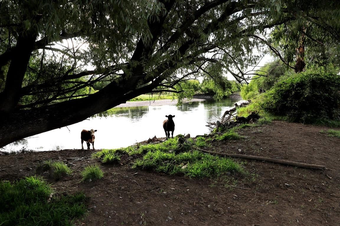 "Brymay" Lot 8 Tumut Plains Road, Tumut NSW 2720, Tumut - Thumbnail 8
