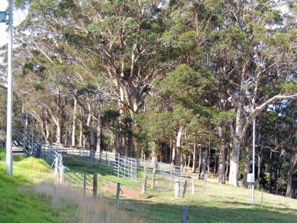 Lot 38 Illsley Drive, Denmark WA 6333, Denmark - Thumbnail 5