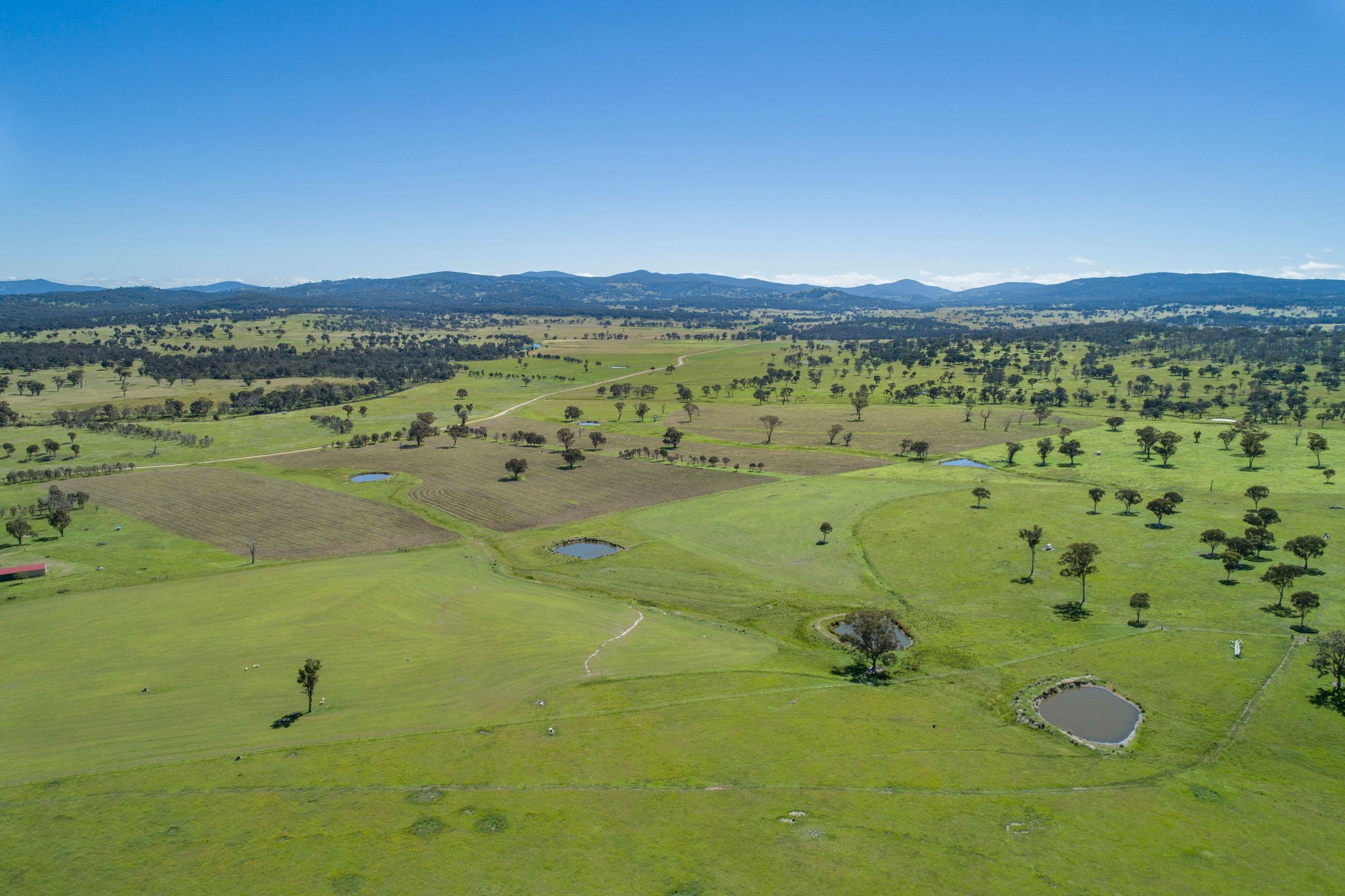 408 Bezzants Road, Deepwater NSW 2371, Deepwater - Thumbnail 8