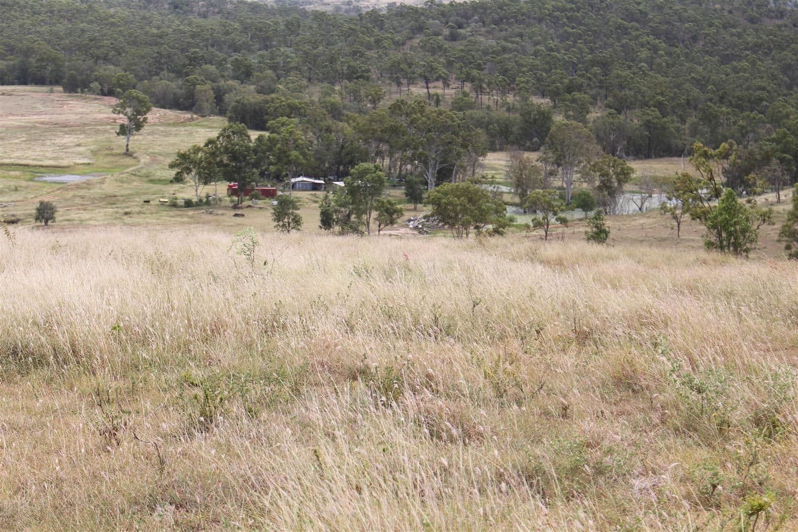 200 Morse Road, Raglan QLD 4697, Raglan - Image 1
