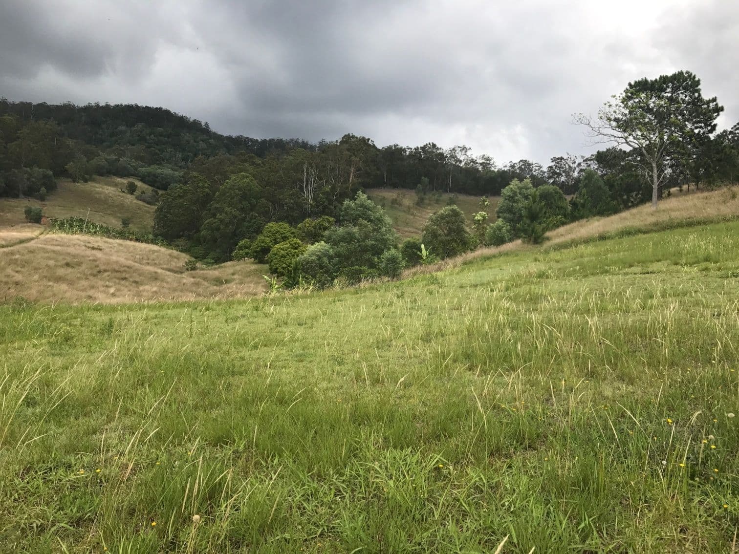 126 Blacks Road, Kingsholme QLD 4208, Kingsholme - Image 1