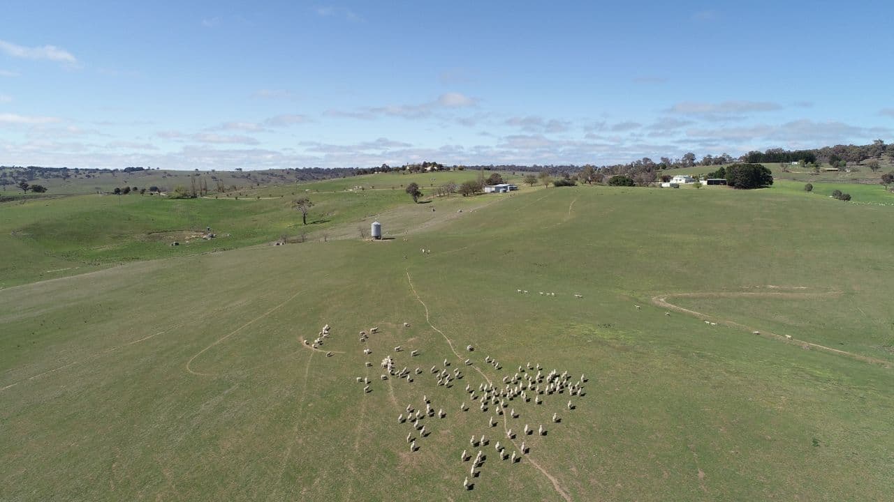 1046 Wimbledon Road, Bathurst NSW 2795, Bathurst - Thumbnail 5