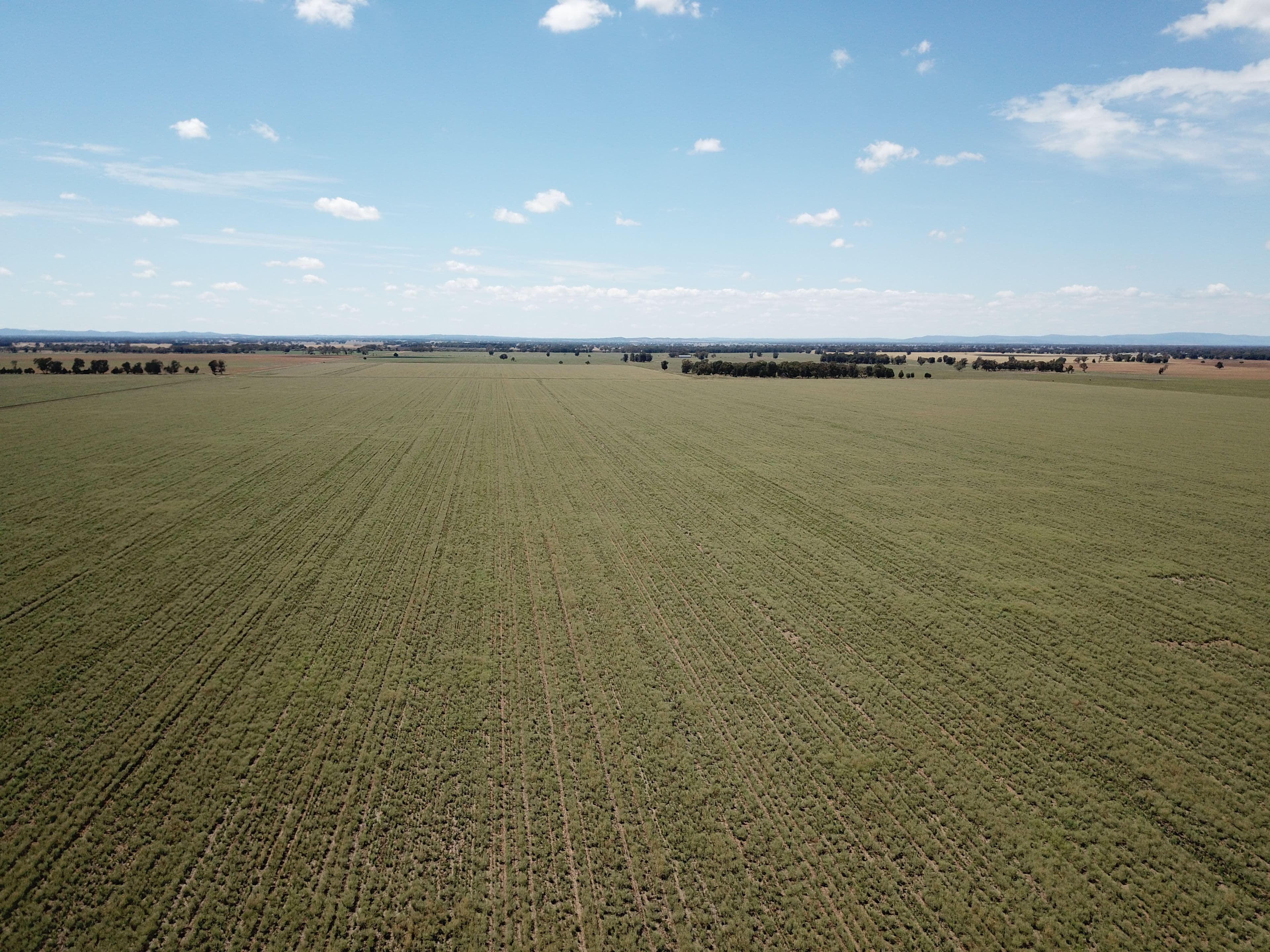 'Glengarry' Wyanga Road, Narromine NSW 2821, Narromine - Image 1