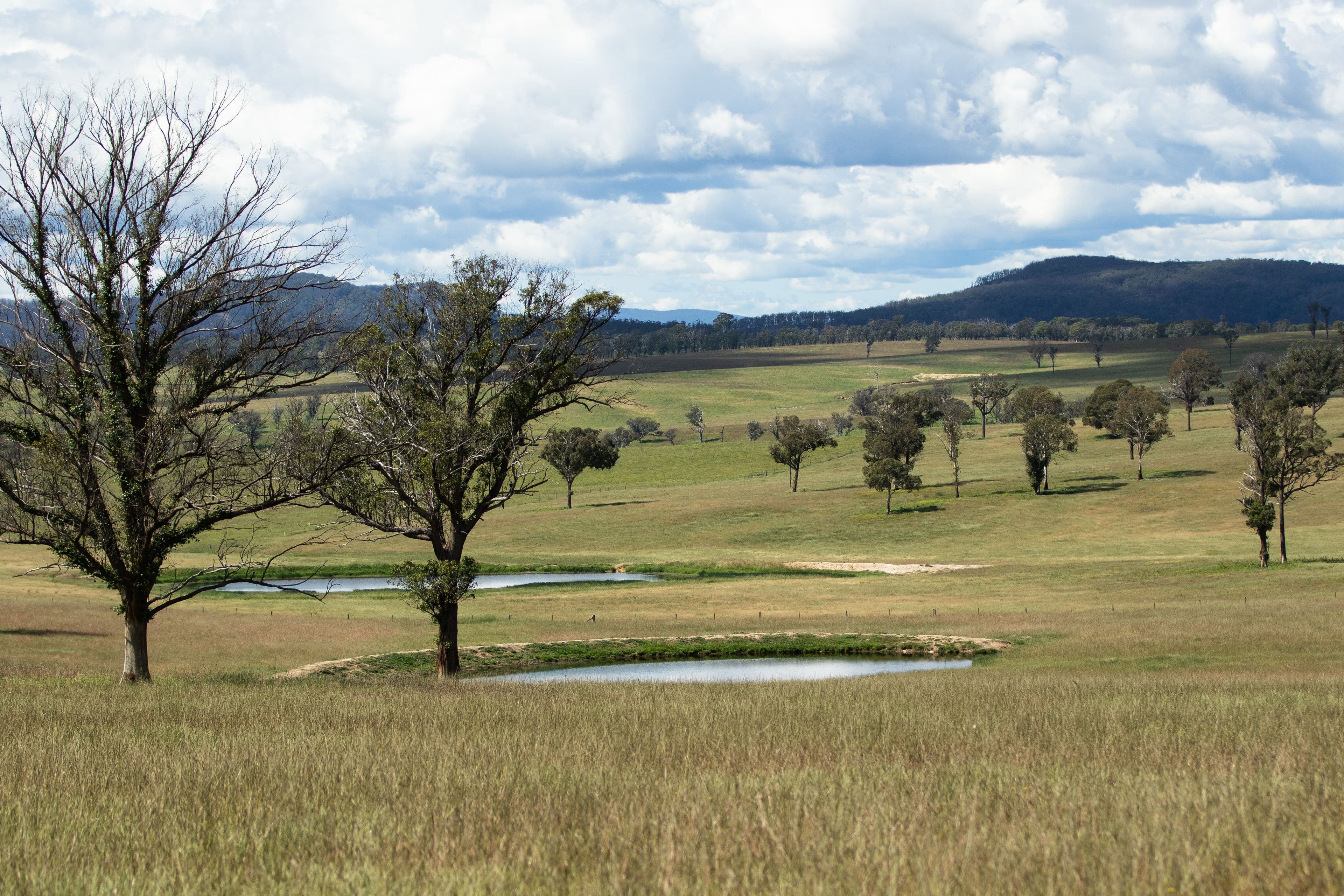 13566 Oxley Highway, Walcha NSW 2354, Walcha - Thumbnail 4