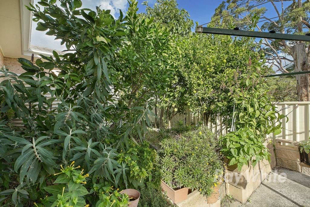 18 Fern Street, Arcadia Vale - Thumbnail 4