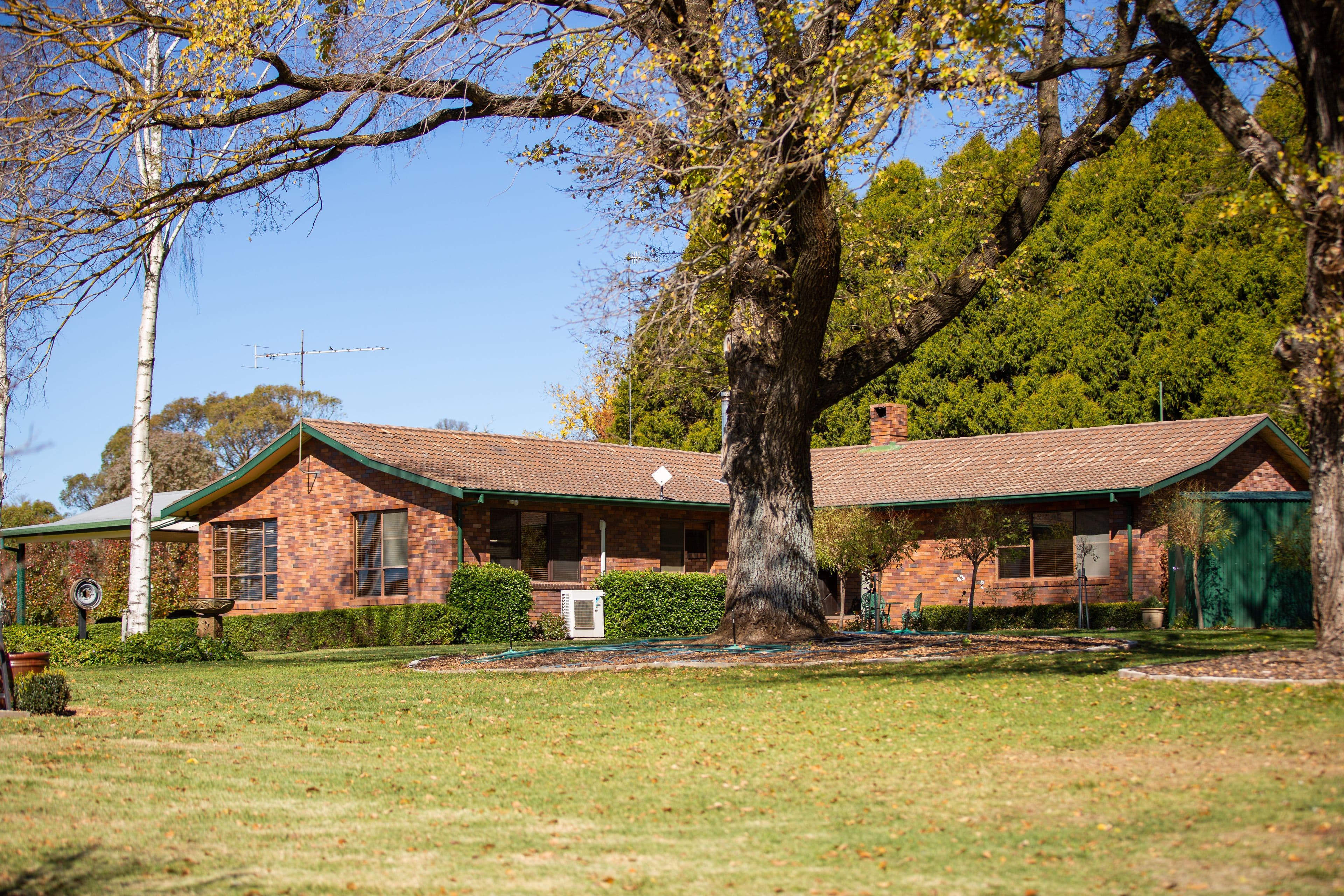 207 Urandangie Road, Guyra NSW 2365, Guyra - Thumbnail 8