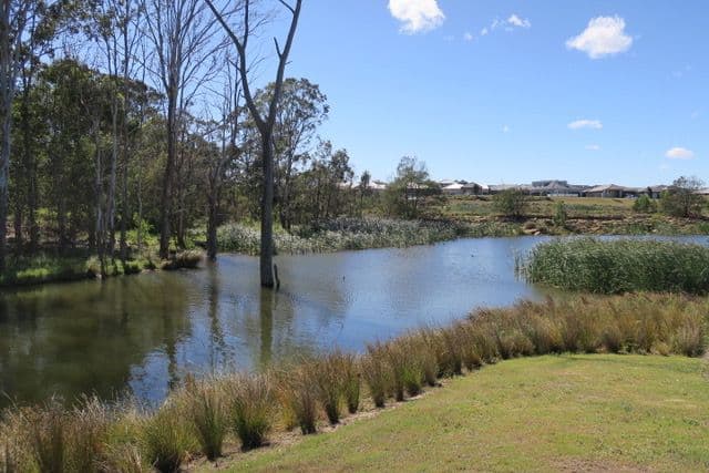 18 Burrell Road, Spring Farm NSW 2570, Spring Farm - Thumbnail 7
