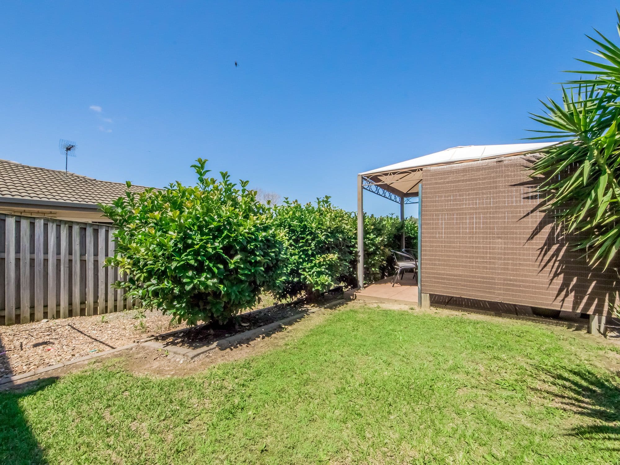 66 Annabelle Crescent, Upper Coomera QLD 4209, Upper Coomera - Thumbnail 8