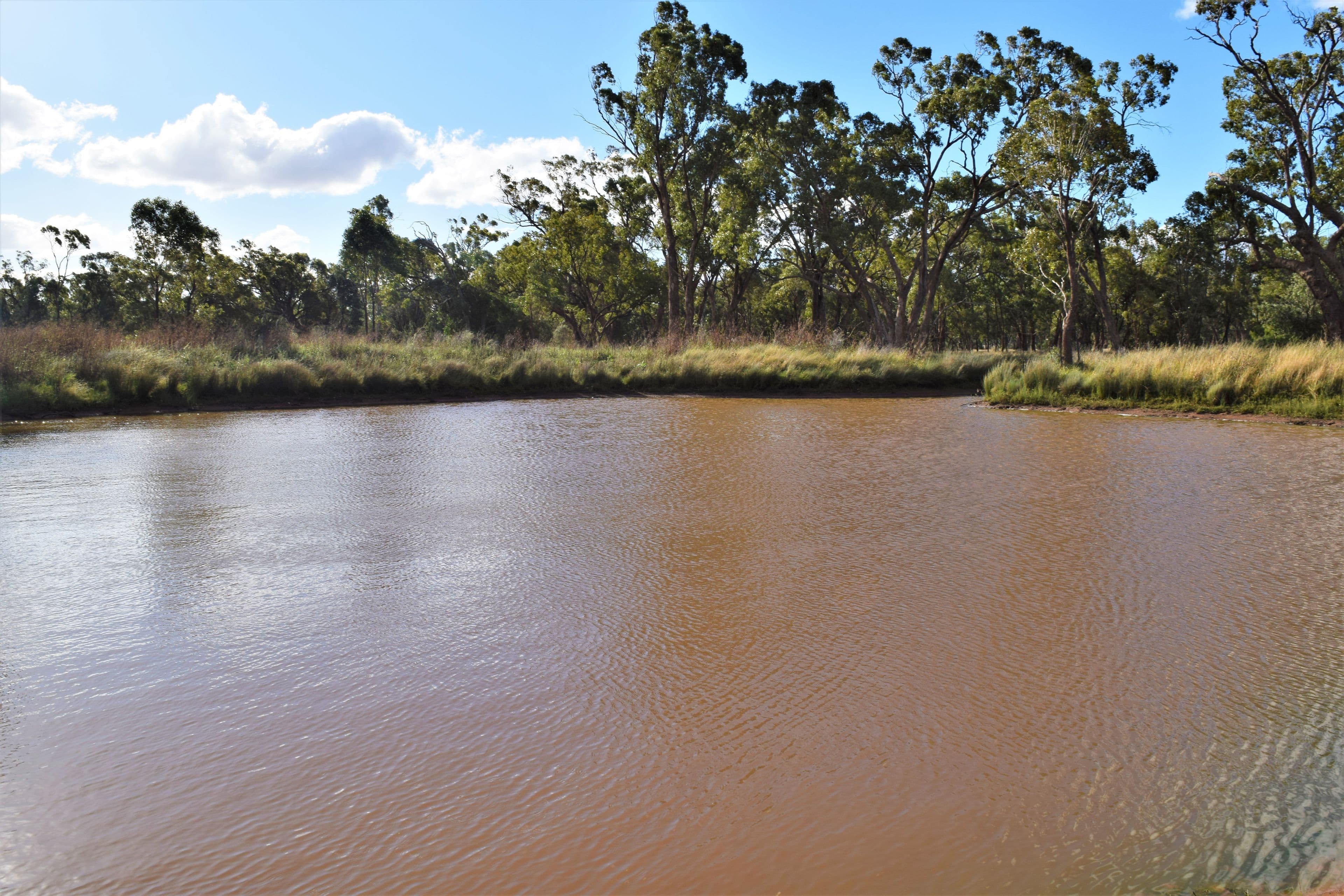'Raymad' Gillenbine Road, Trundle NSW 2875, Trundle - Thumbnail 3