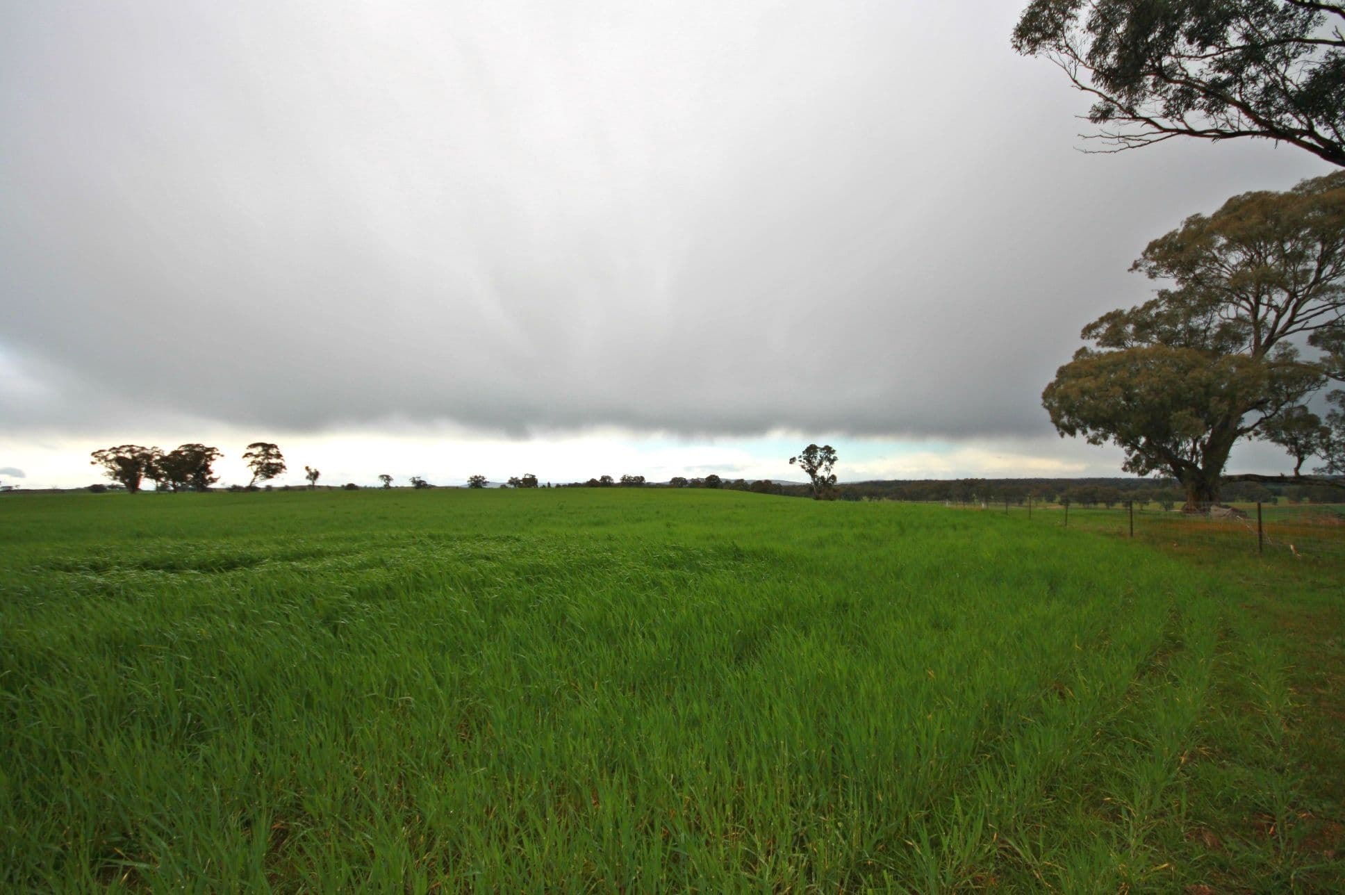 00 Kooreh Road, CARAPOOEE VIC 3477, Carapooee - Thumbnail 3