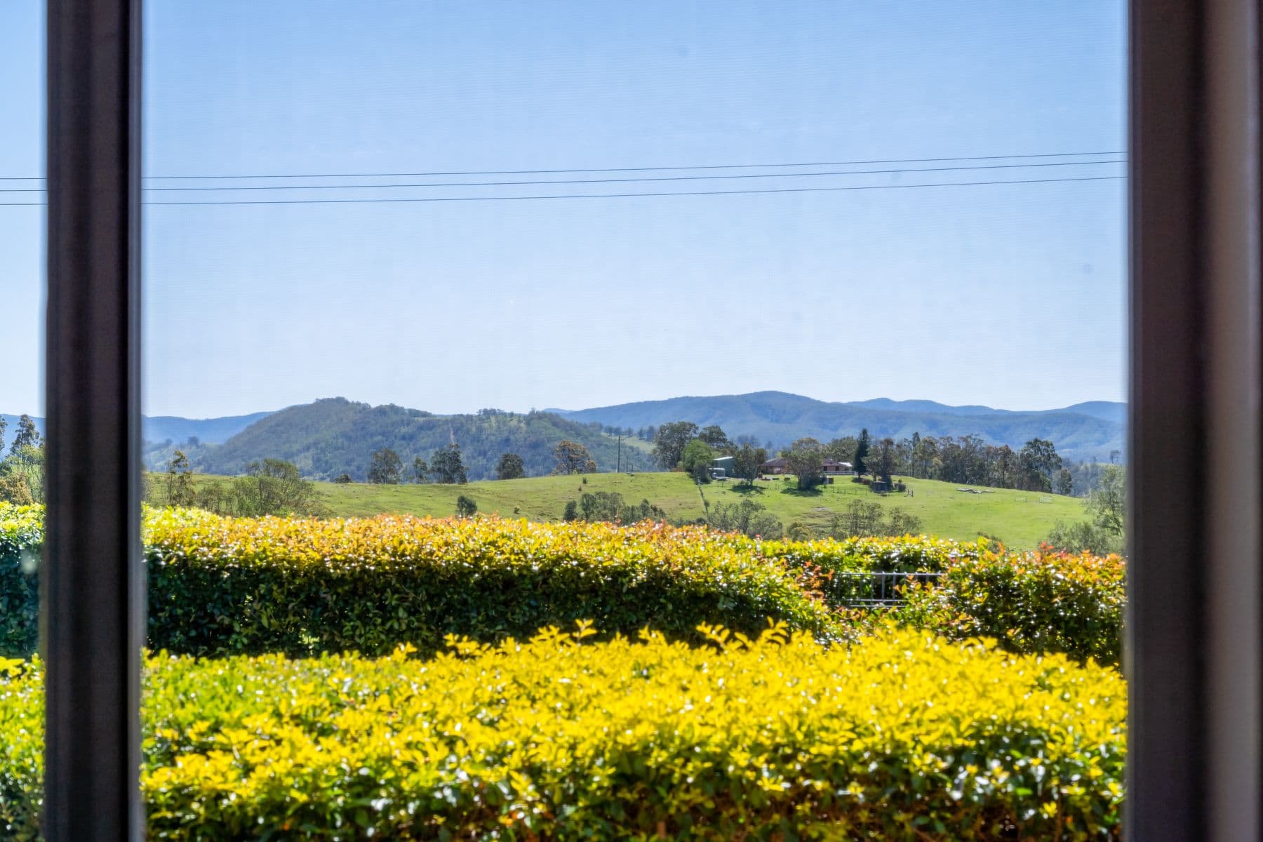 51 Short Street, Dungog NSW 2420, Dungog - Thumbnail 5