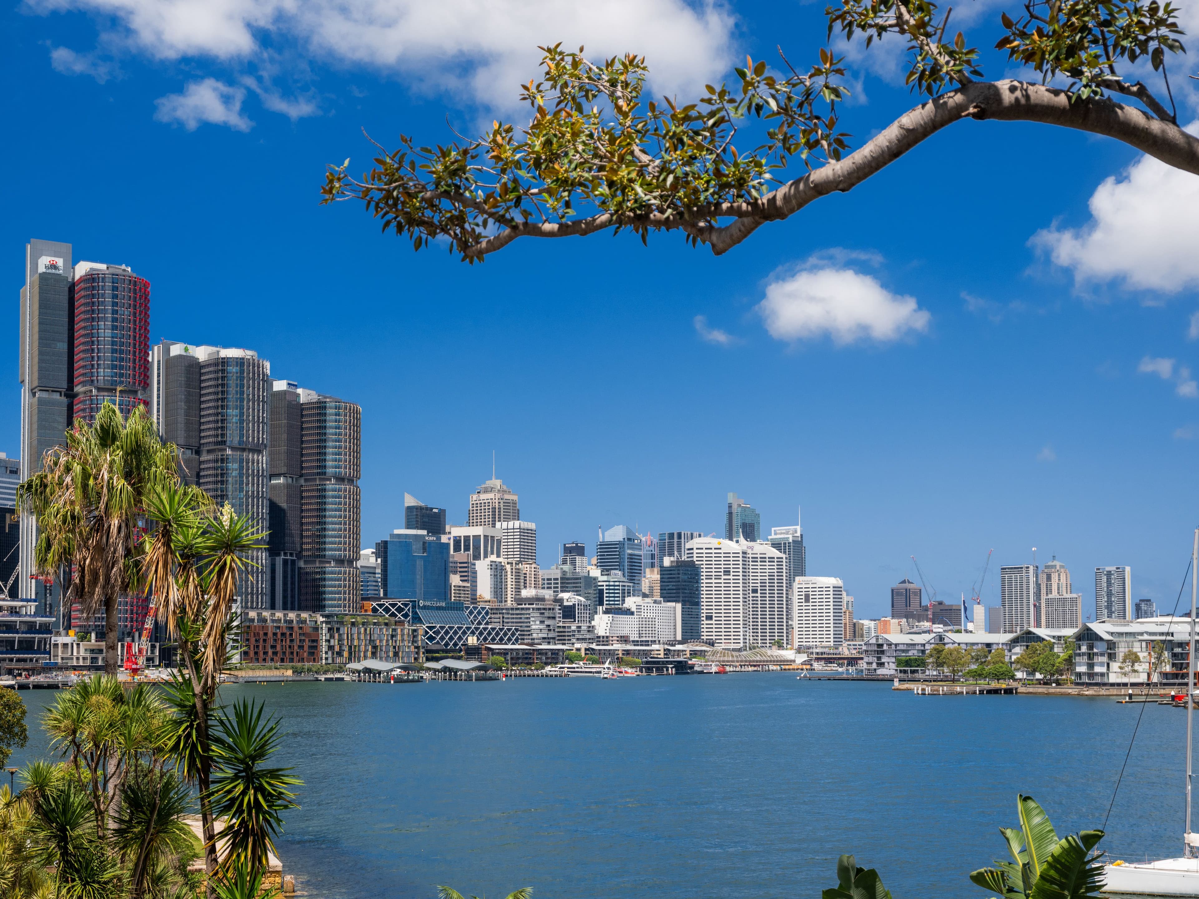 10 William Street, Balmain East NSW 2041, Balmain East - Thumbnail 2