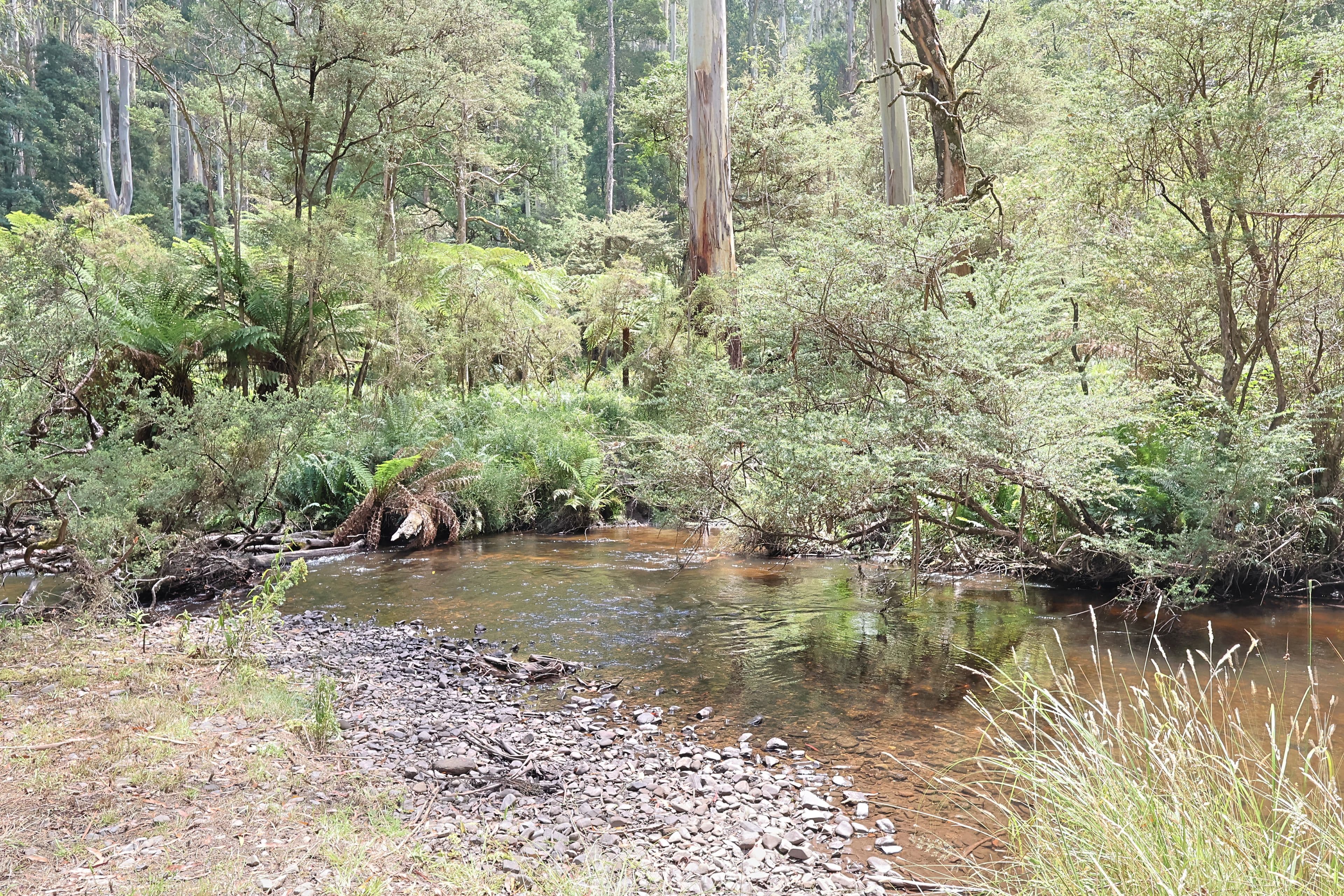 Toorongo Valley Road, Noojee VIC 3833, Noojee - Image 1