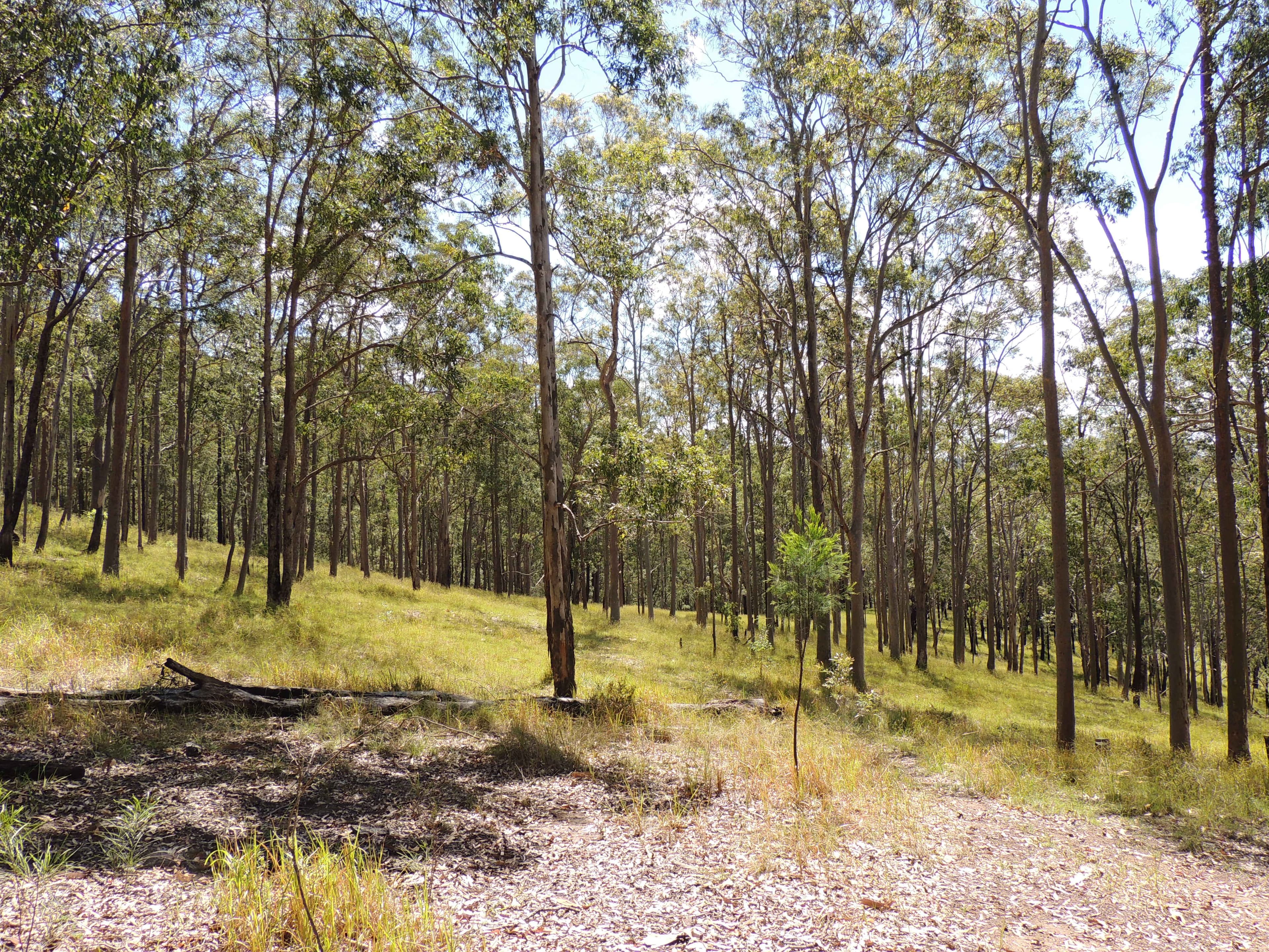 1079 Upper Myall Road, Bulahdelah NSW 2423, Bulahdelah - Thumbnail 4