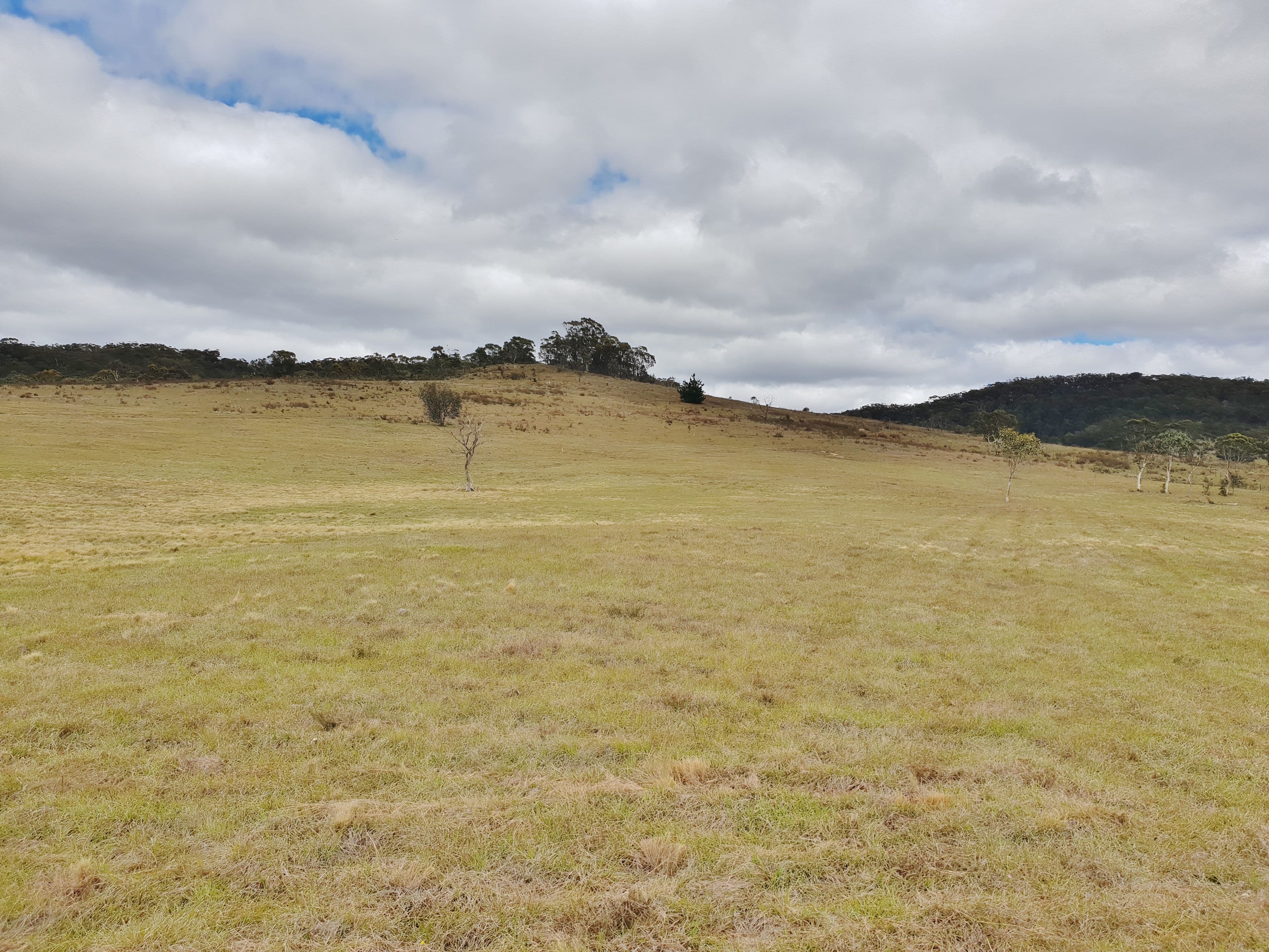 3364 Cooma Road, Braidwood NSW 2622, Braidwood - Thumbnail 6