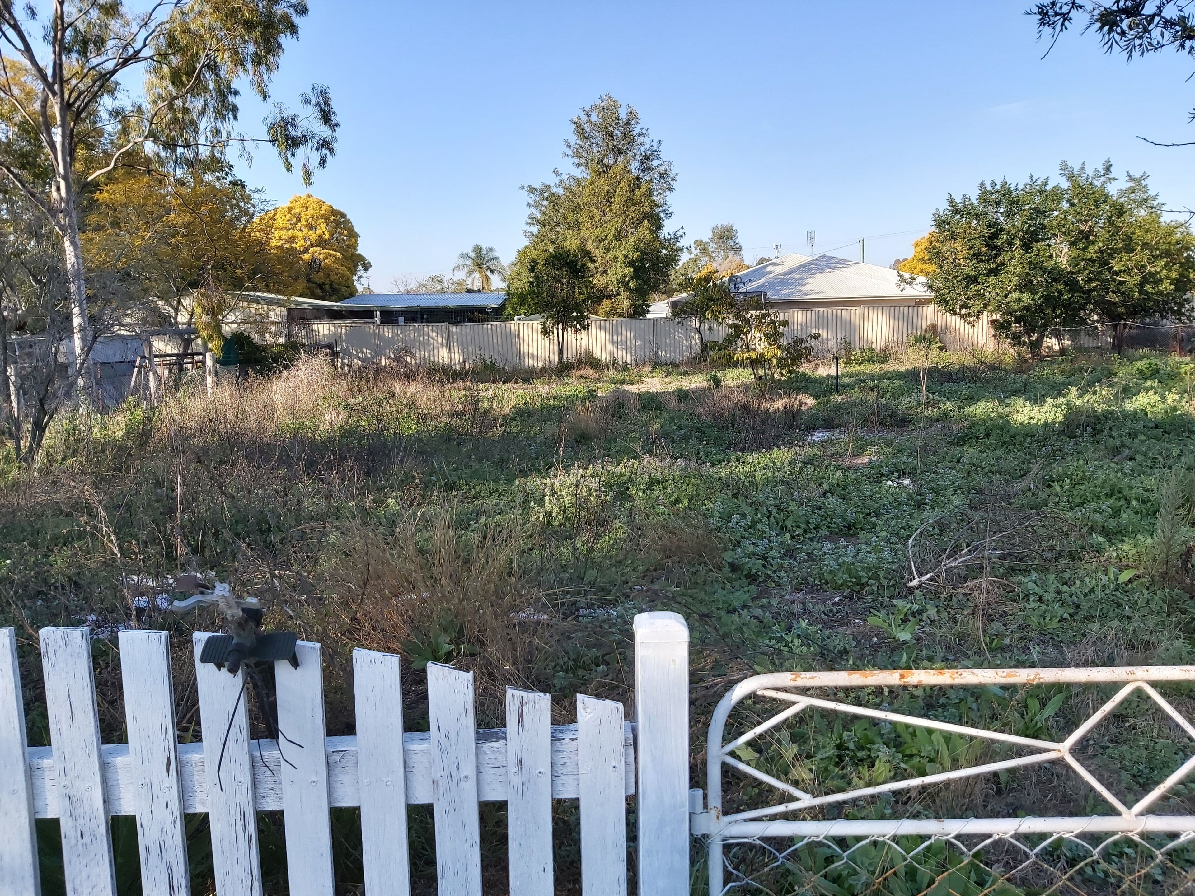 16 Copp Street, Pittsworth QLD 4356, Pittsworth - Thumbnail 3