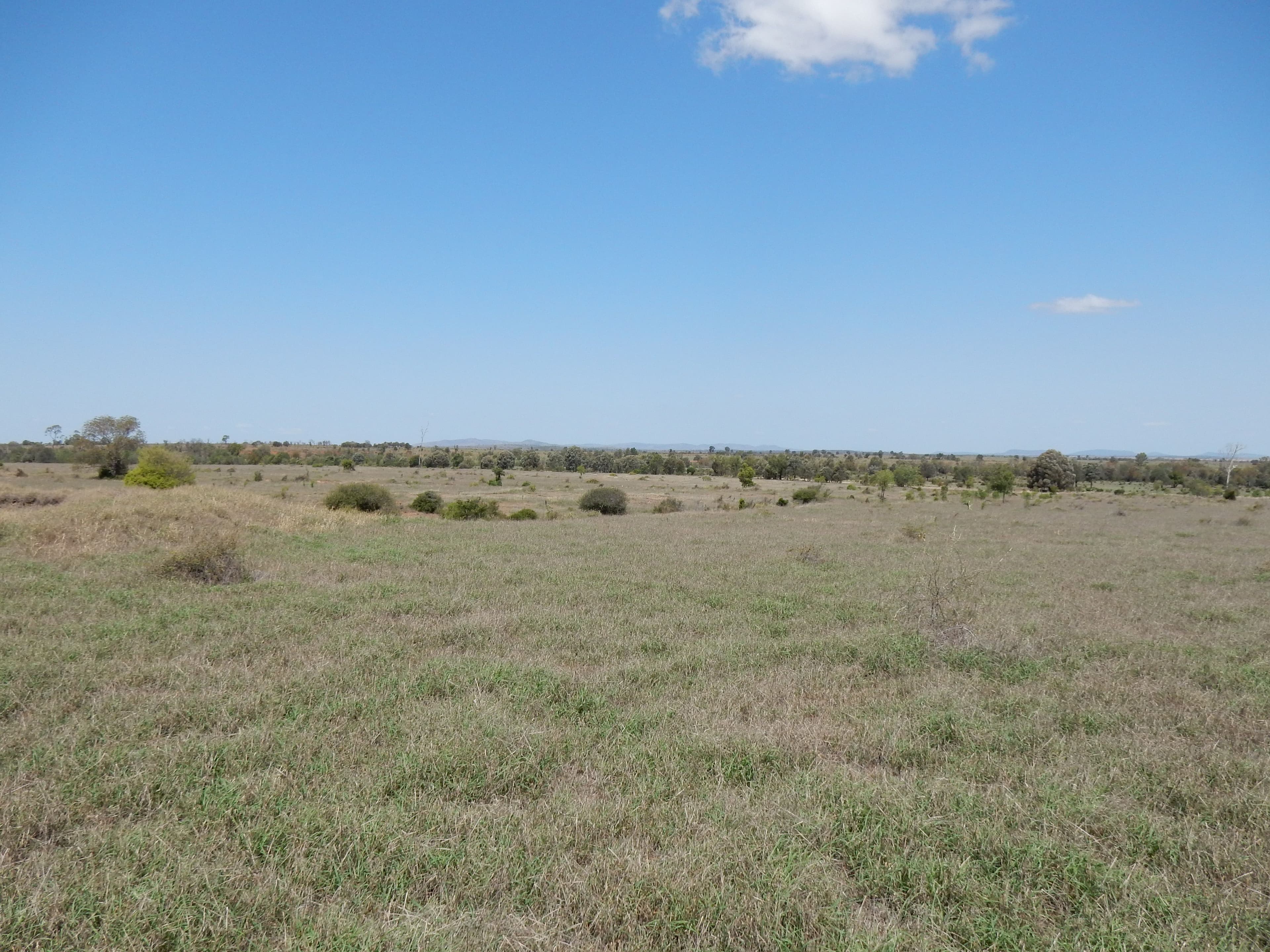 310 Fairview Road, Banana QLD 4702, Banana - Thumbnail 7