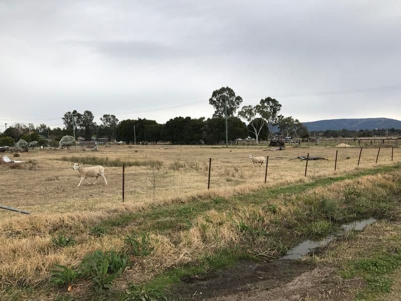 9 Mount Street, Scone NSW 2337, Scone - Thumbnail 3