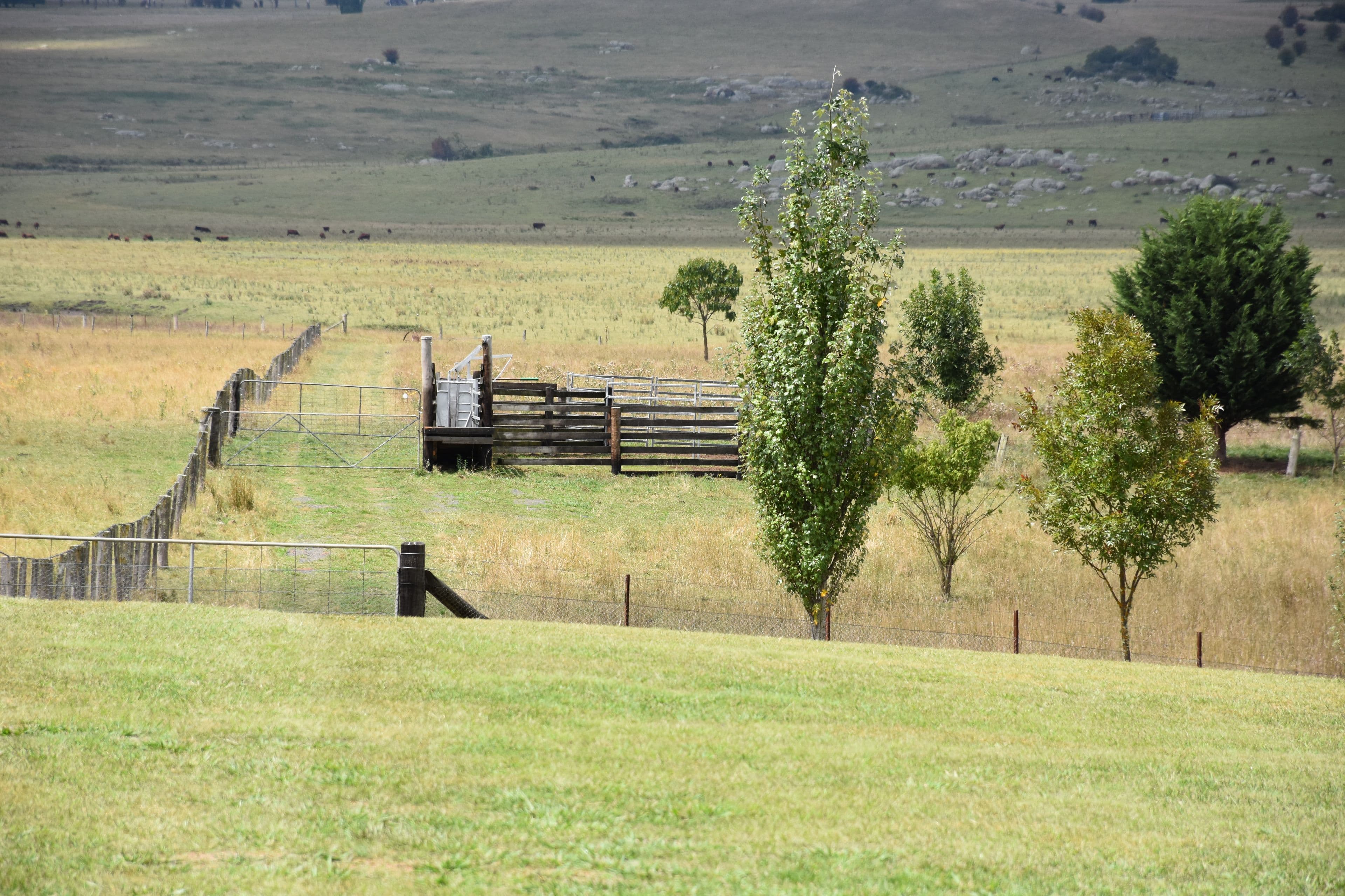 323 Red Range Road, Glen Innes NSW 2370, Glen Innes - Thumbnail 8