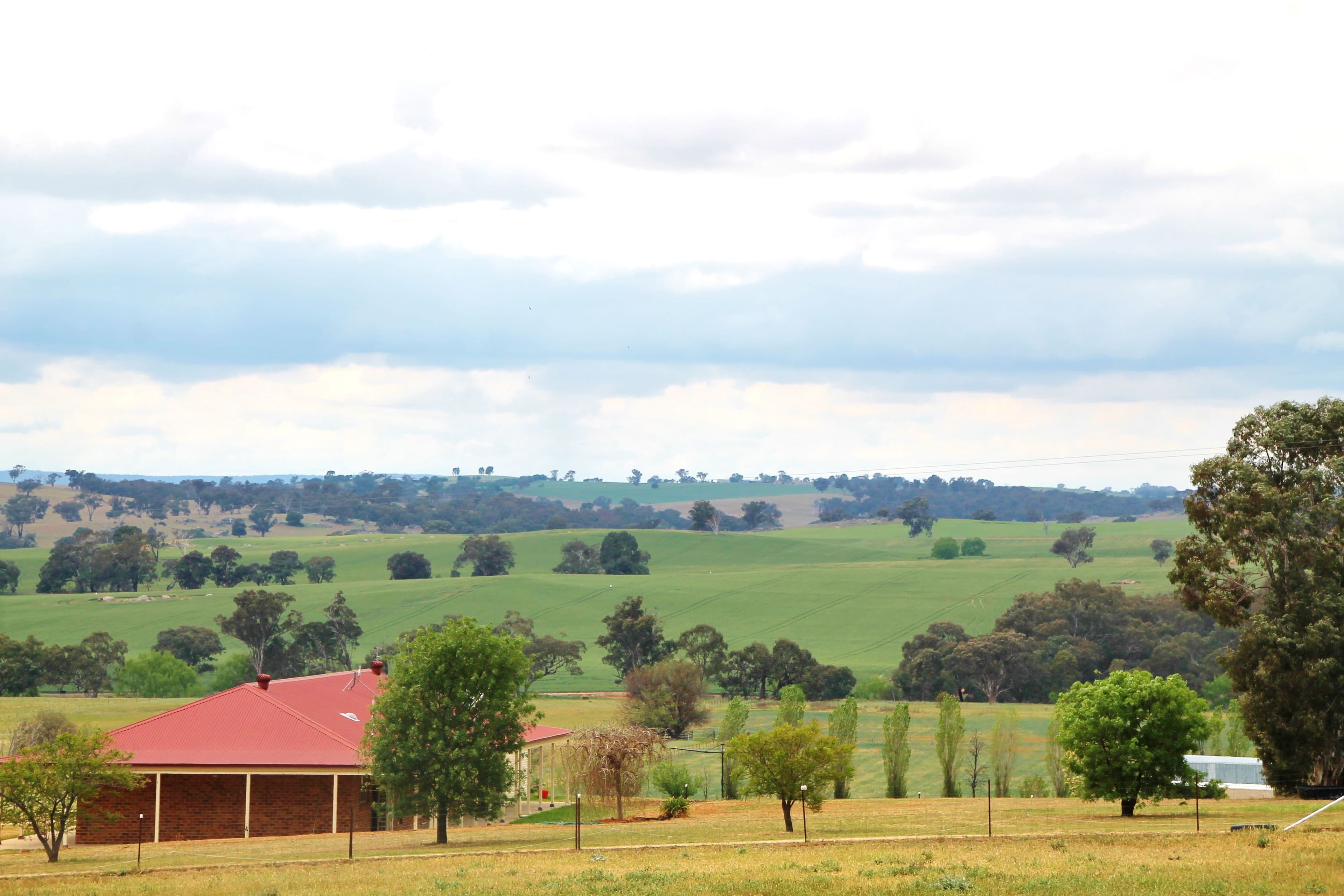 44 Quamby SS Lane, Young NSW 2594, Young - Image 1