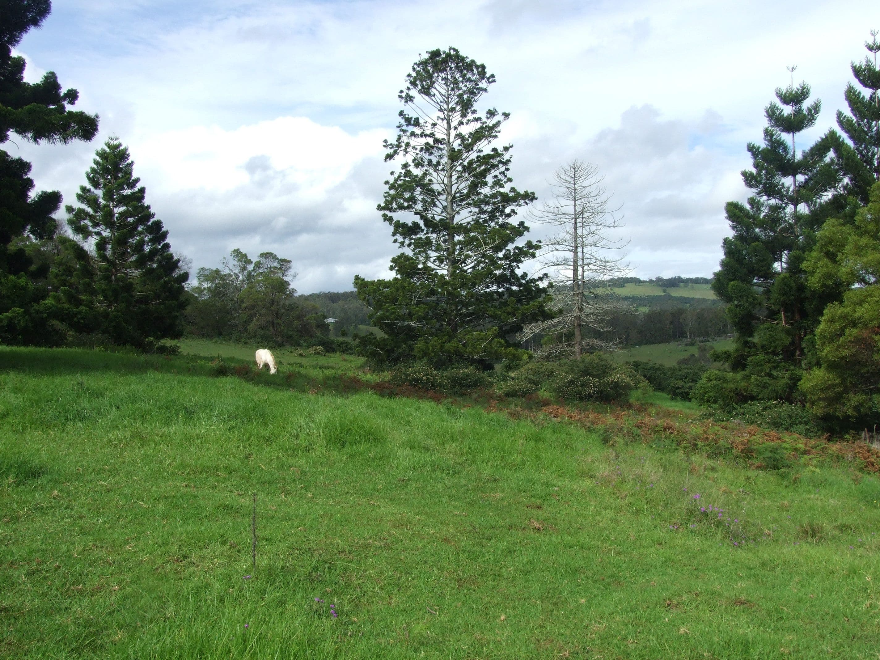 L47 Christy Road, Ravensbourne QLD 4352, Ravensbourne - Thumbnail 5