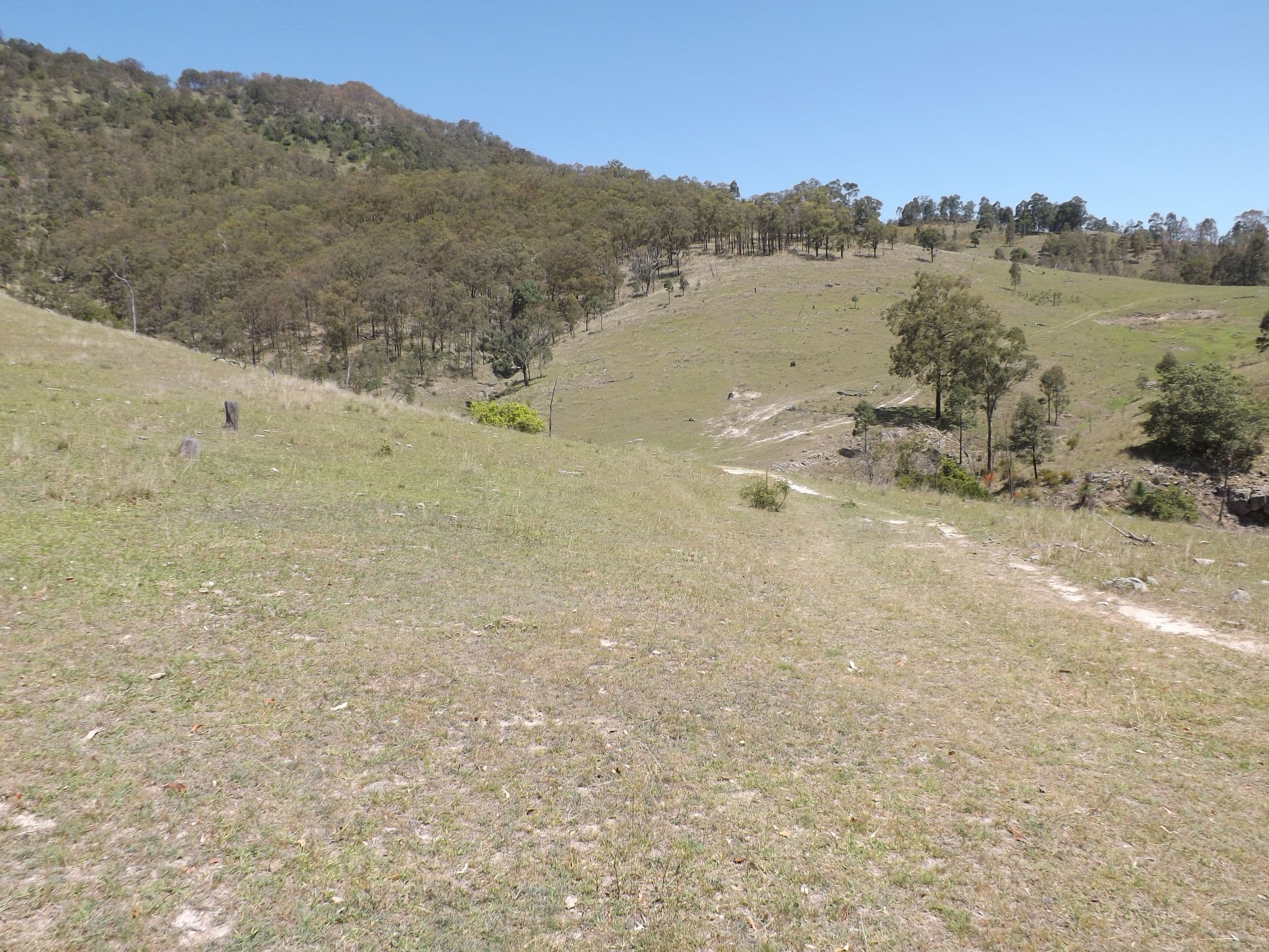 Lots 1 Carrowbrook Road, SINGLETON NSW 2330, Singleton - Thumbnail 8