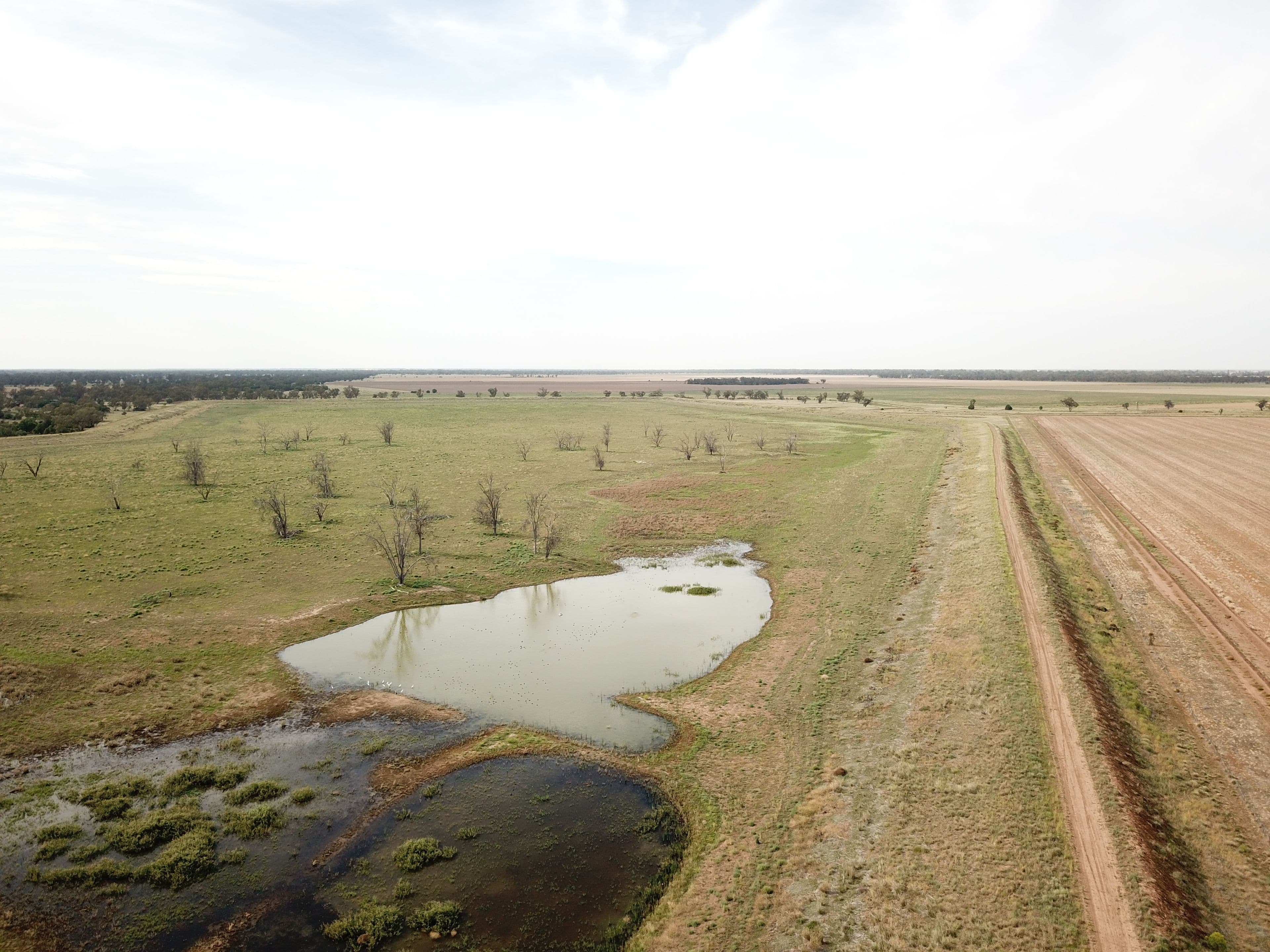'Nangarah' 1975 Wambianna Road, WARREN NSW 2824, Warren - Thumbnail 7