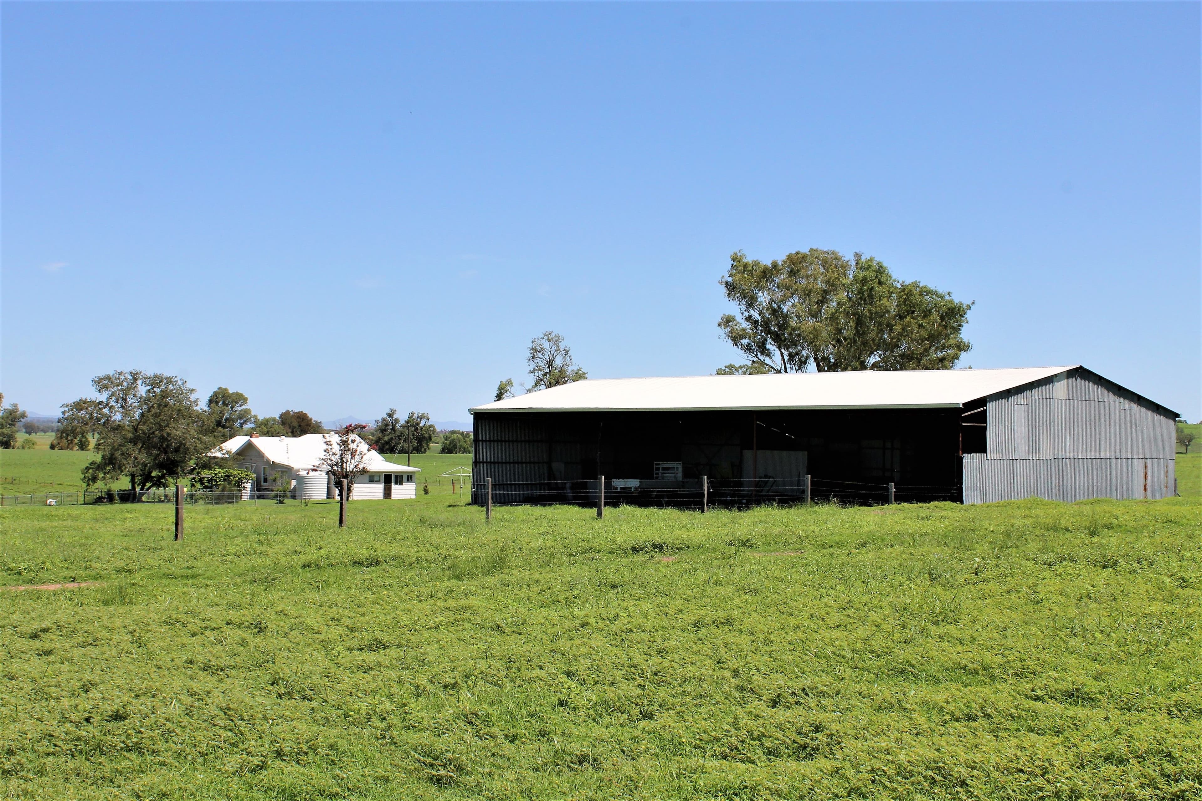 155 Paynes Road, Quirindi NSW 2343, Quirindi - Thumbnail 4