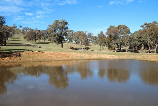 201 Gallymont Road, Mandurama NSW 2792, Mandurama - Thumbnail 8