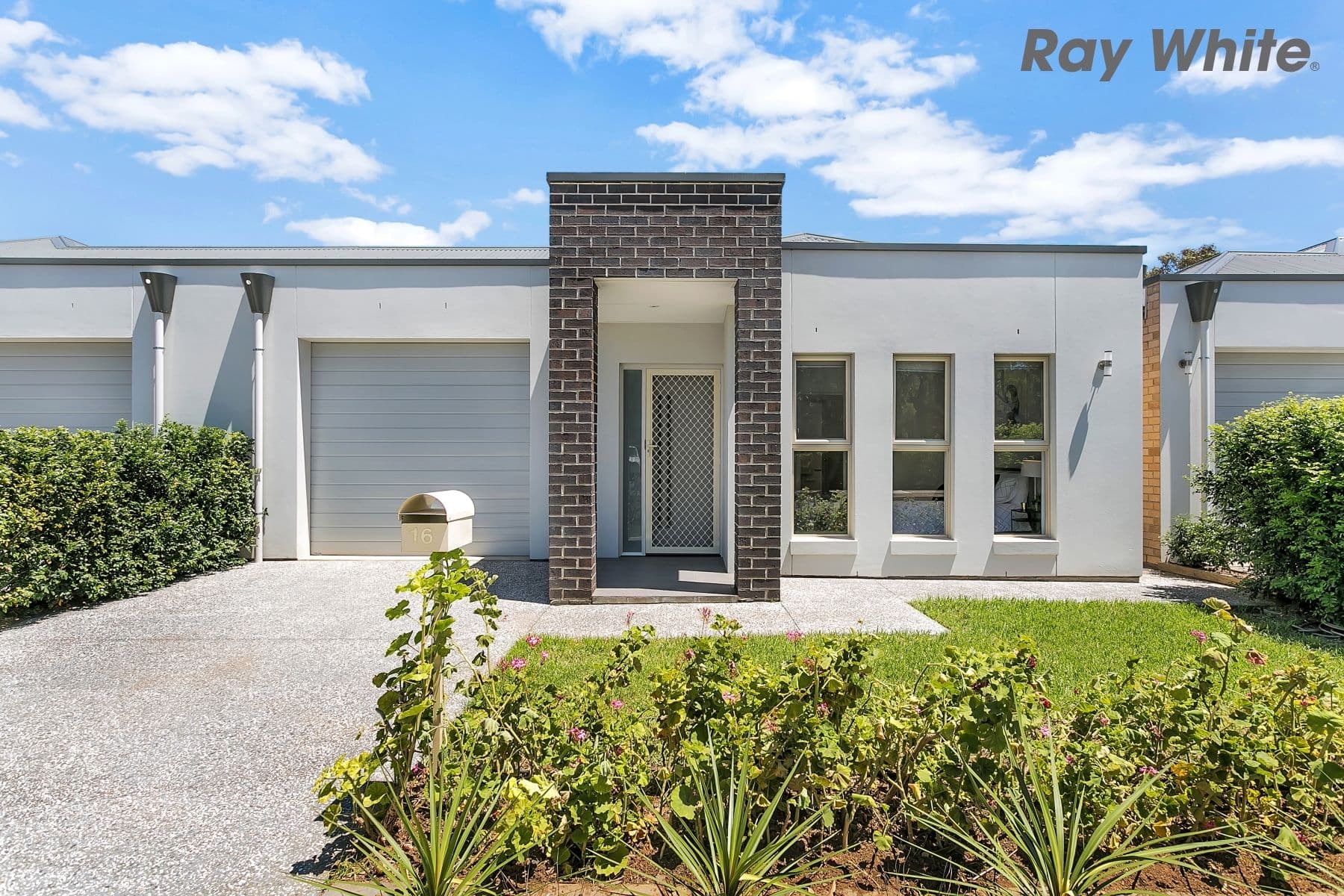 16 Midera Avenue, Edwardstown SA 5039, Edwardstown - Image 1