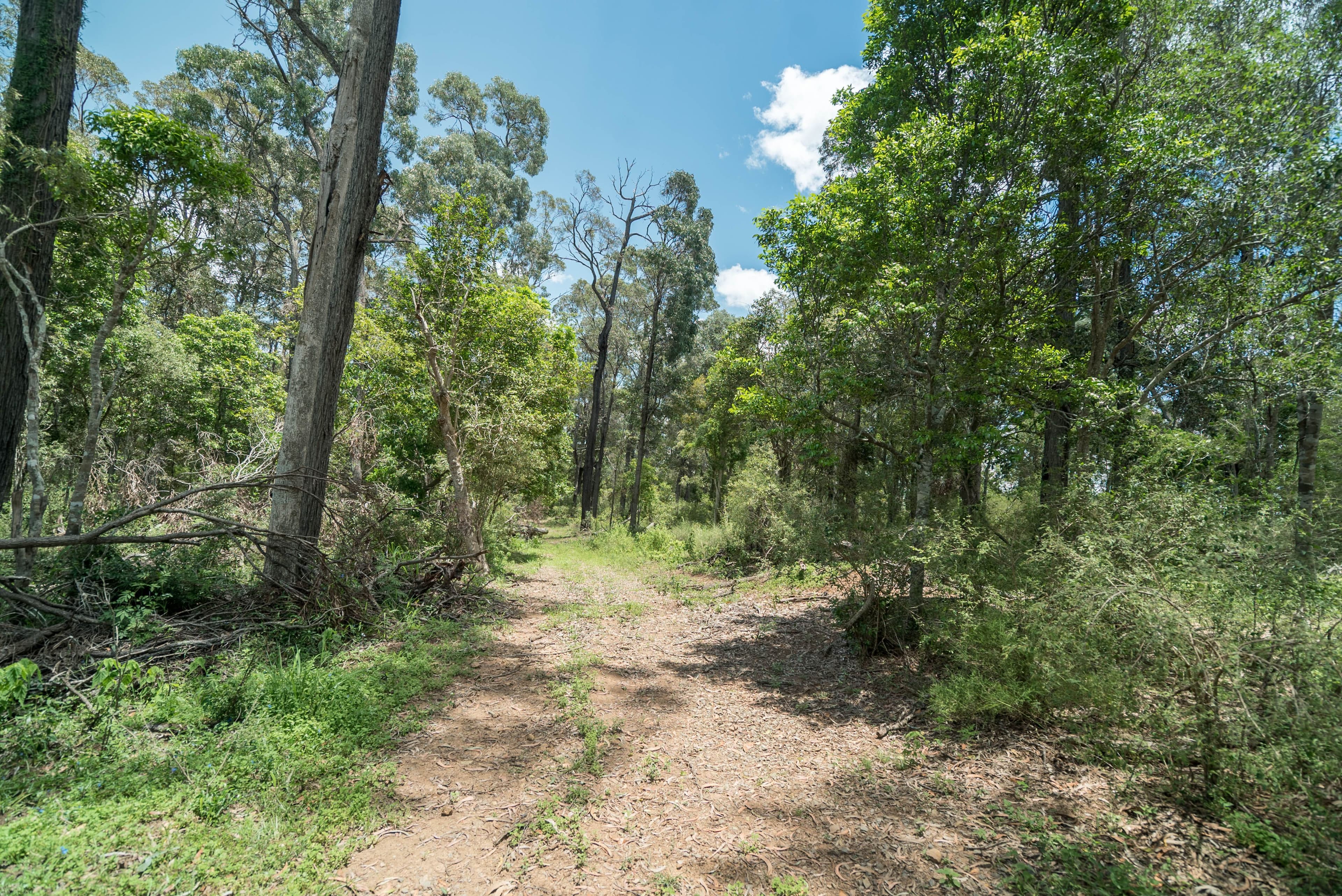189 Zingelmann Road, Milbong QLD 4310, Milbong - Thumbnail 8