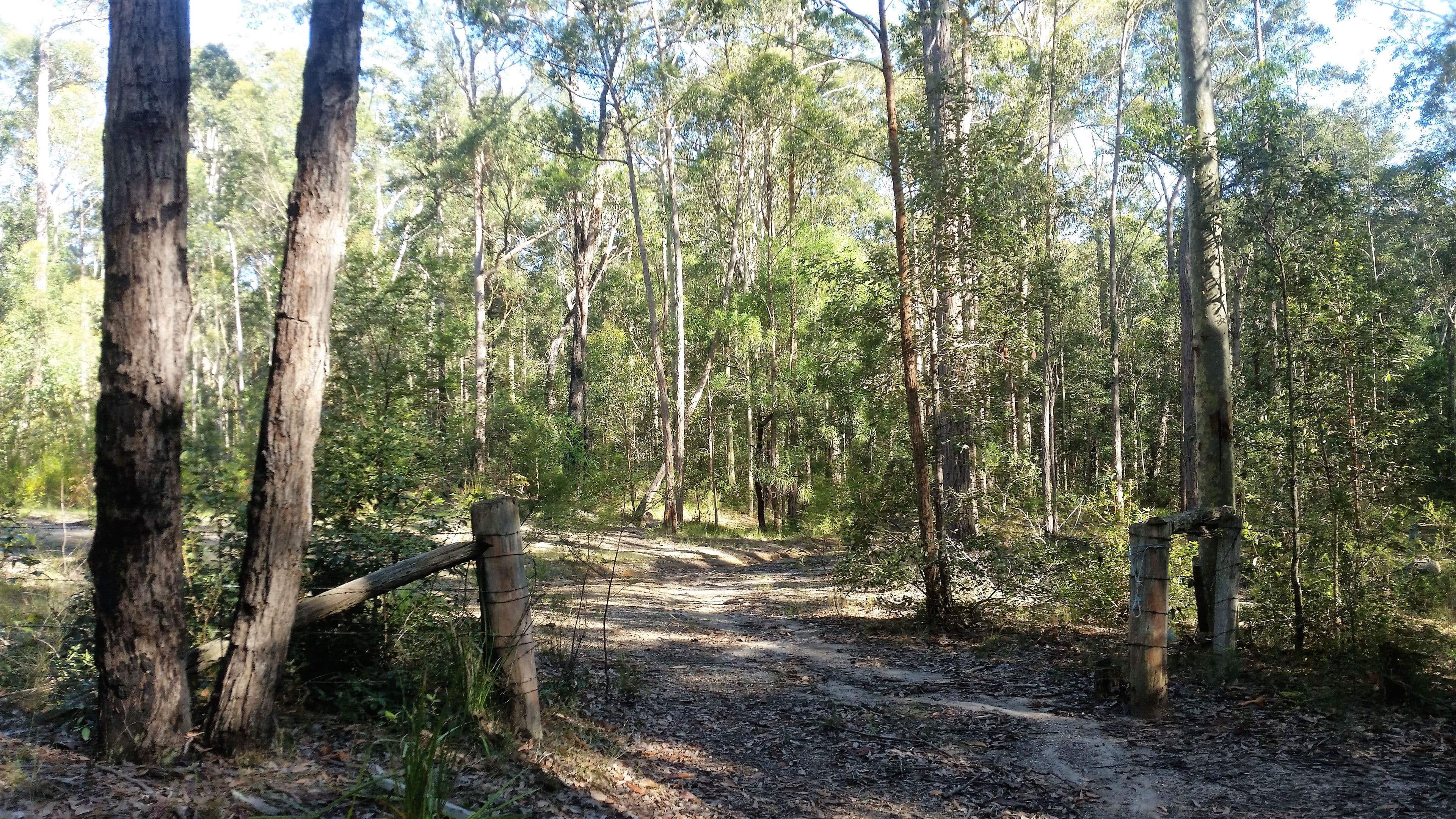 Portion 84 Princes Highway, Termeil NSW 2539, Termeil - Thumbnail 3