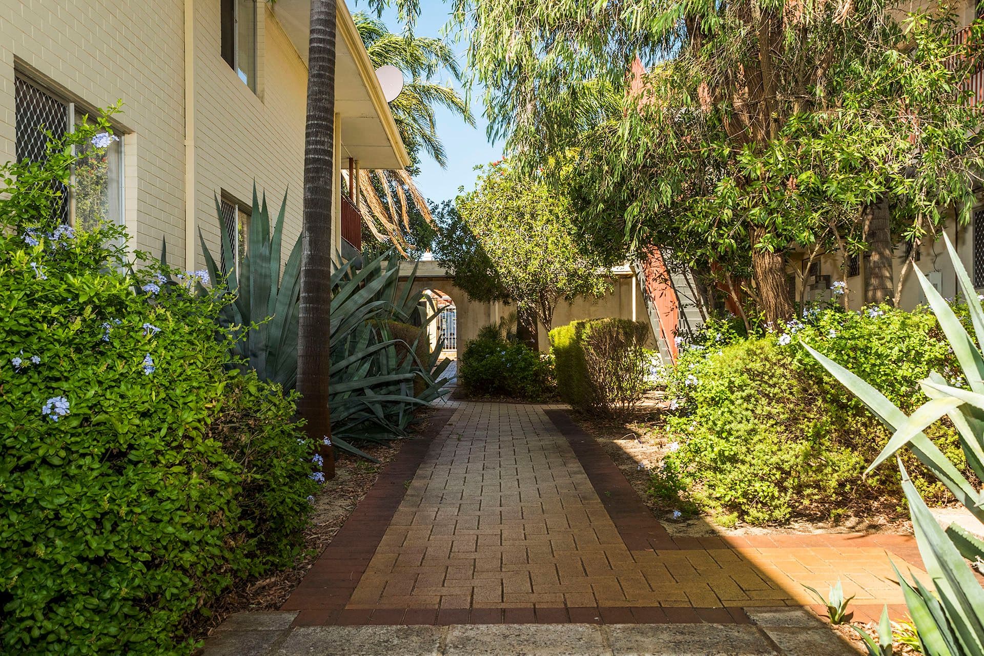 2/72 First Avenue, Mount Lawley WA 6050, Mount Lawley - Thumbnail 5
