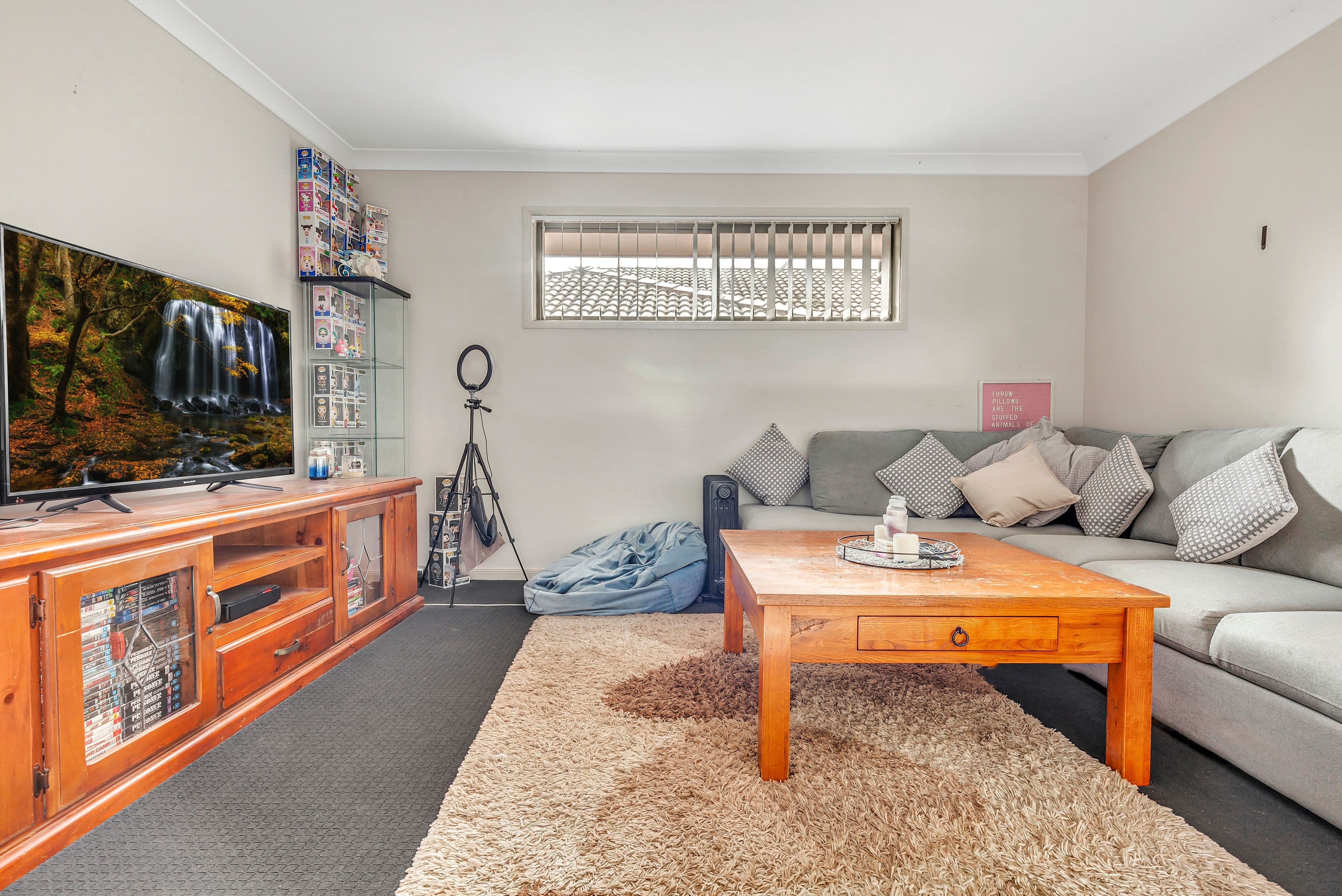 4 Grebe Street, Aberglasslyn NSW 2320, Aberglasslyn - Thumbnail 3