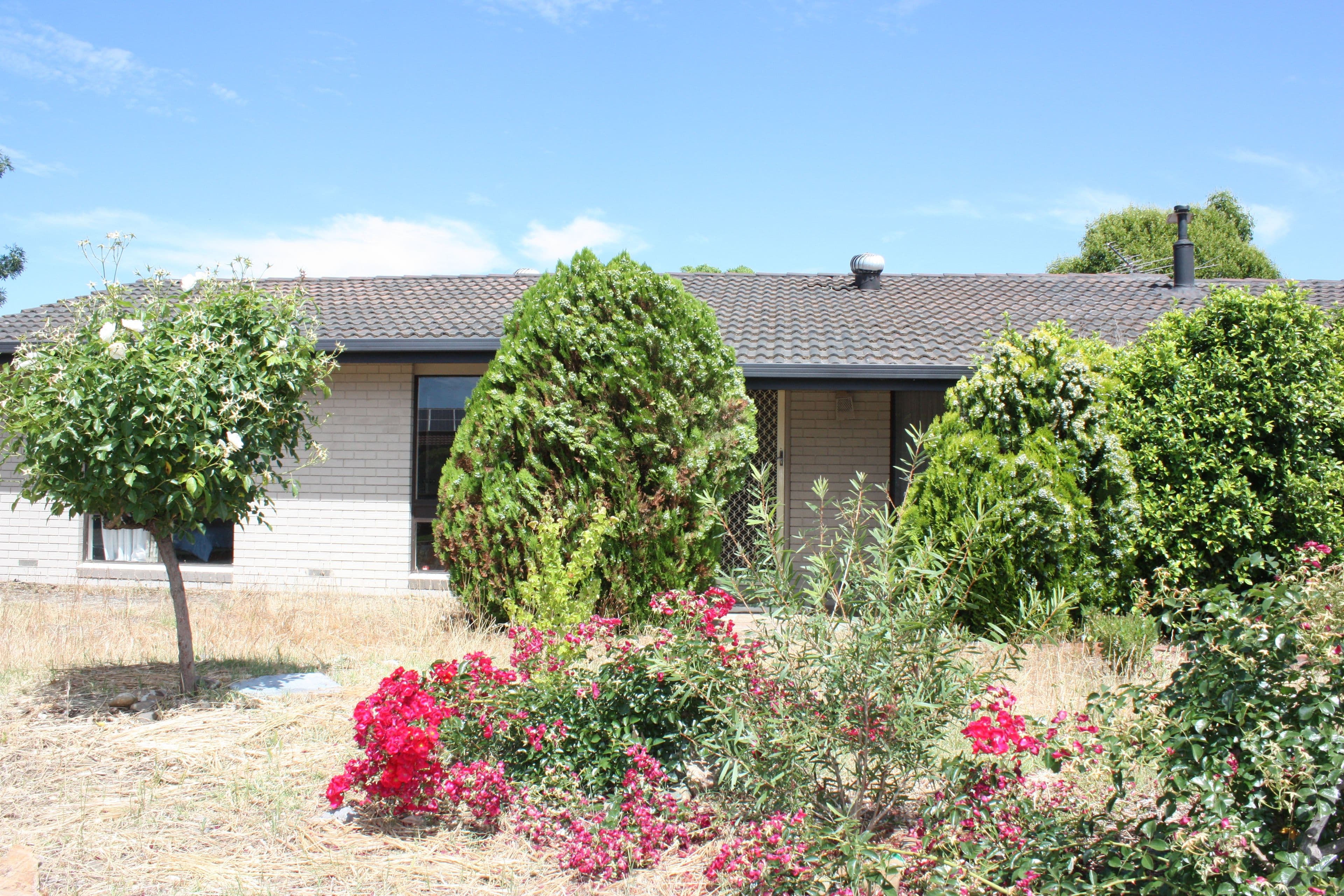 10 Hogg Court, Corowa NSW 2646, Corowa - Thumbnail 2