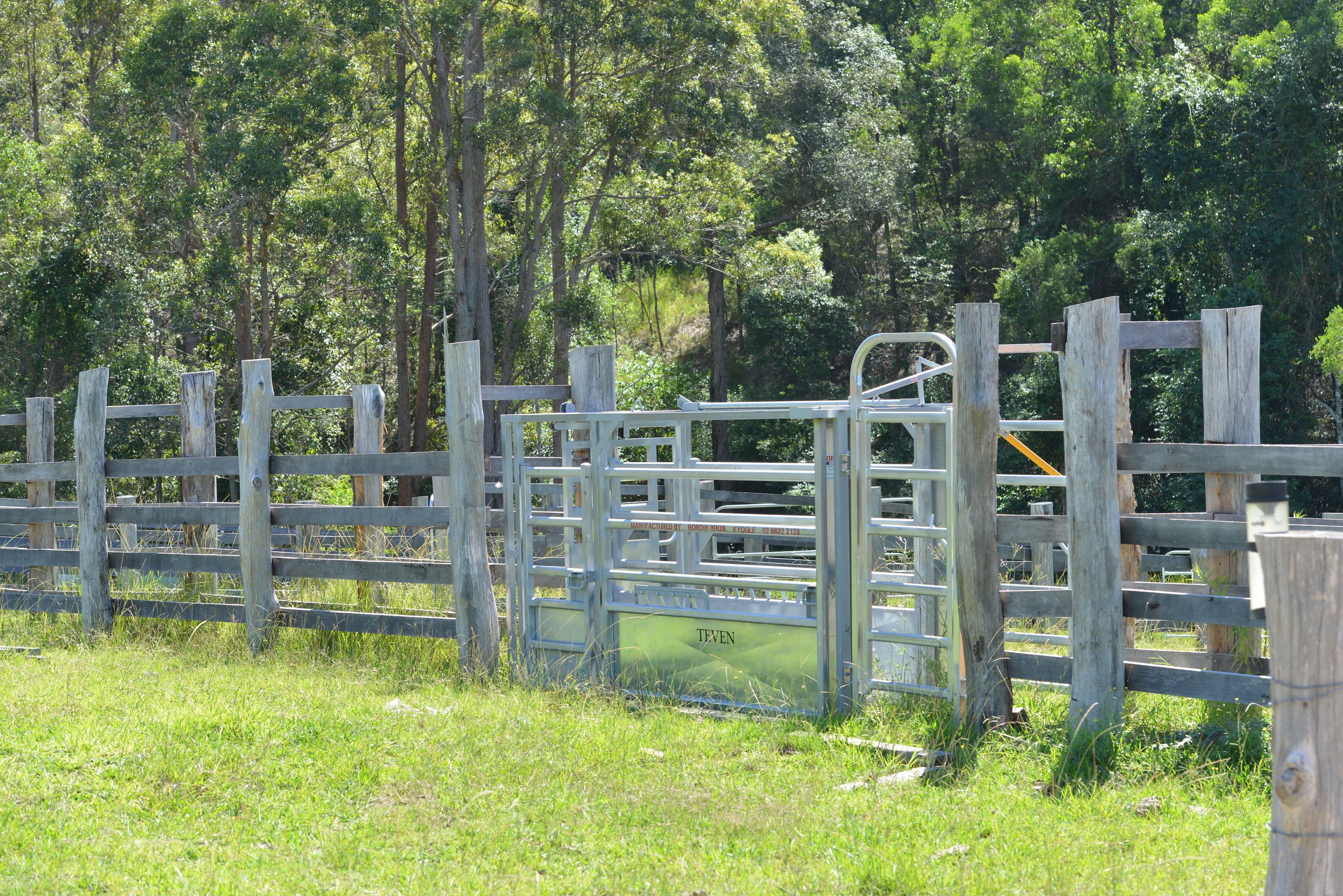 Lots 34, 1, 93, 120 and 128 Nowendoc Road, Knorrit Flat NSW 2424, Knorrit Flat - Image 1