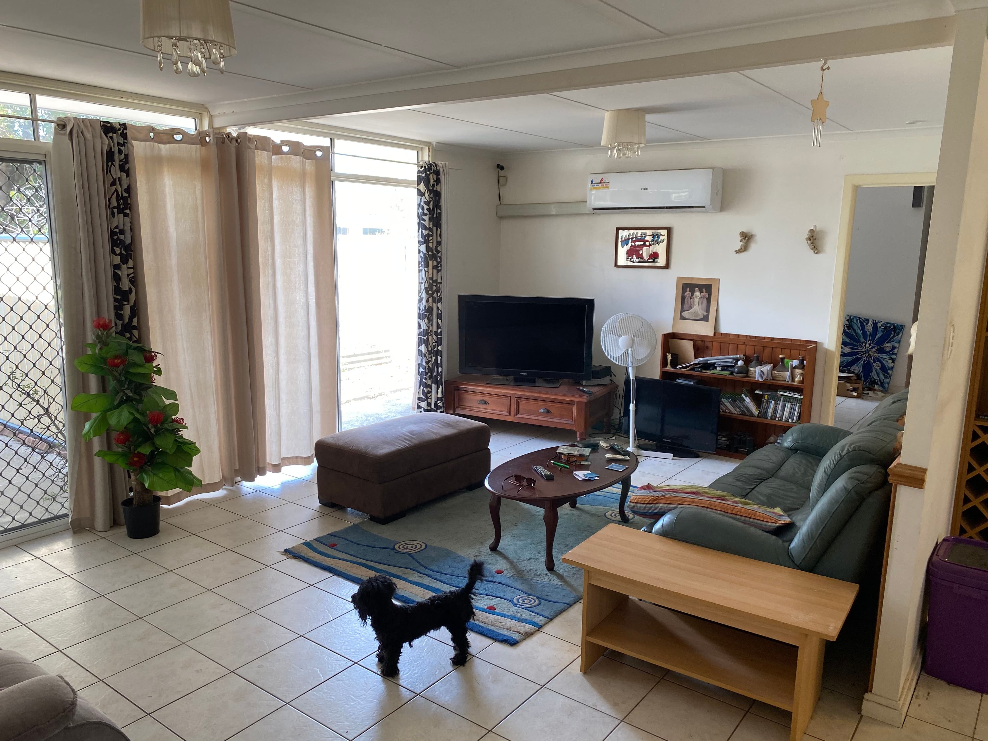 20 Orchid Street, Bellara QLD 4507, Bellara - Thumbnail 6