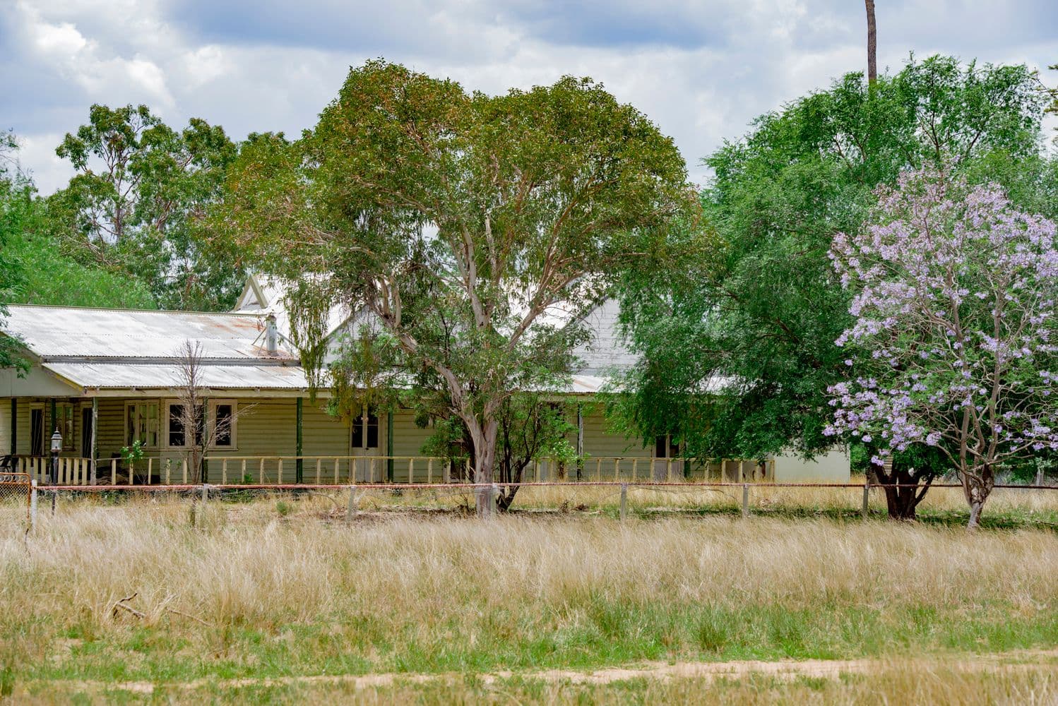 ' CARLTON', Coonabarabran NSW 2357, Coonabarabran - Thumbnail 6