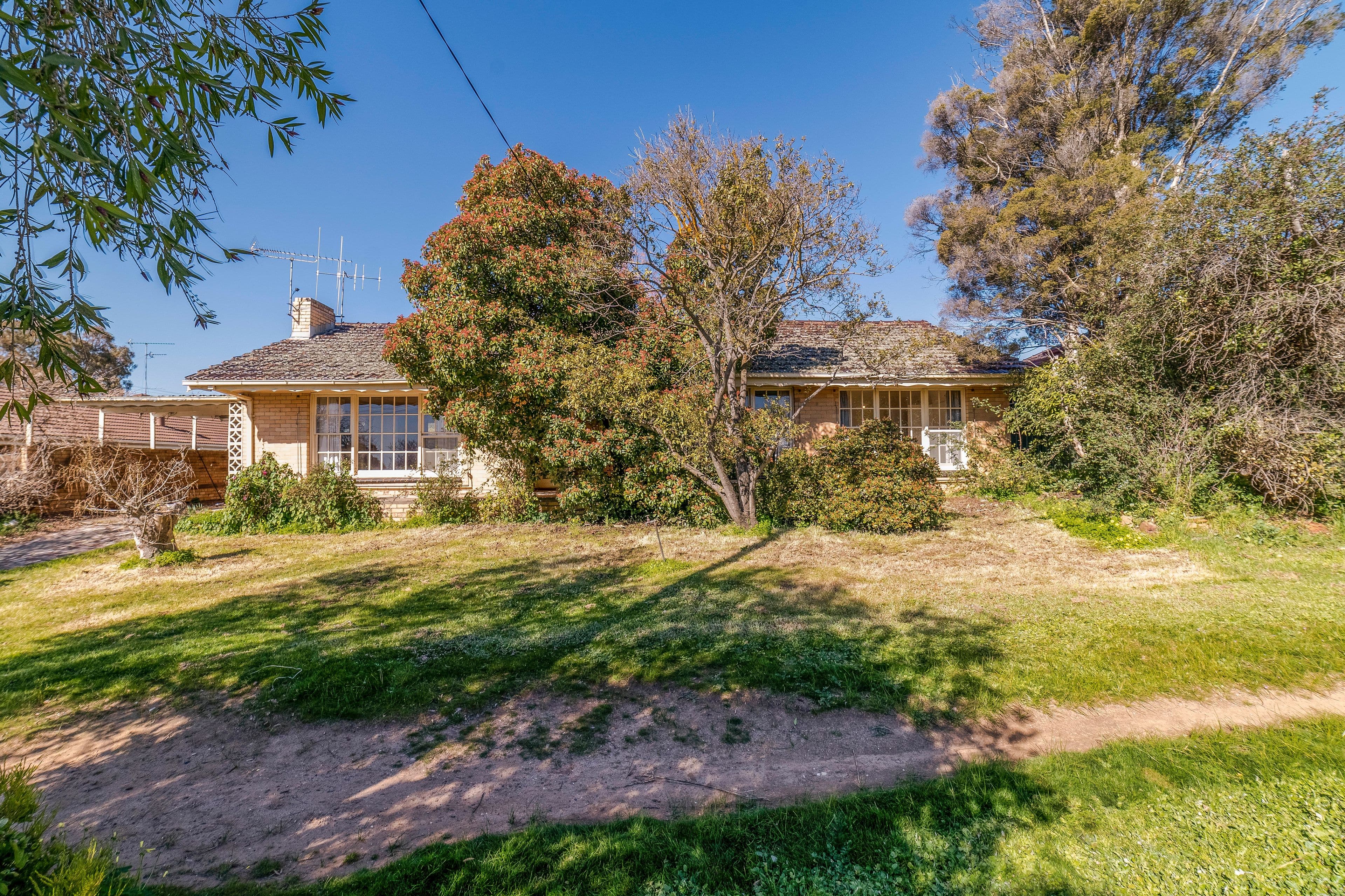 59 Curtin Street, Flora Hill VIC 3550, Flora Hill - Thumbnail 2