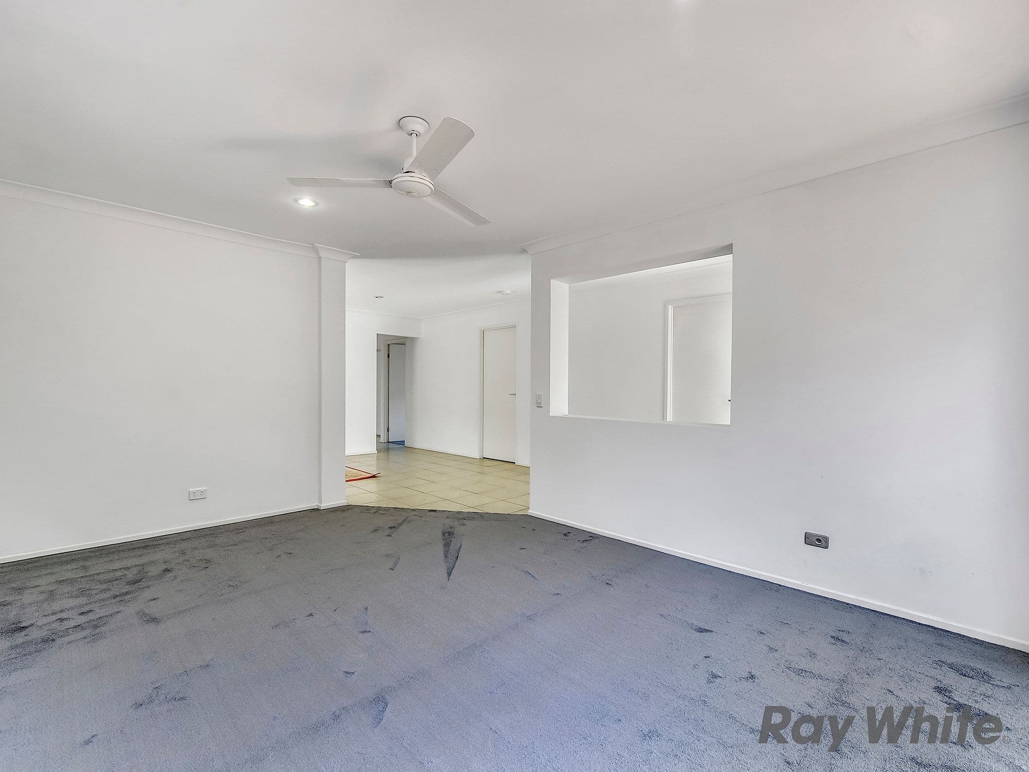 43 Macaranga Crescent, Carseldine QLD 4034, Carseldine - Thumbnail 6